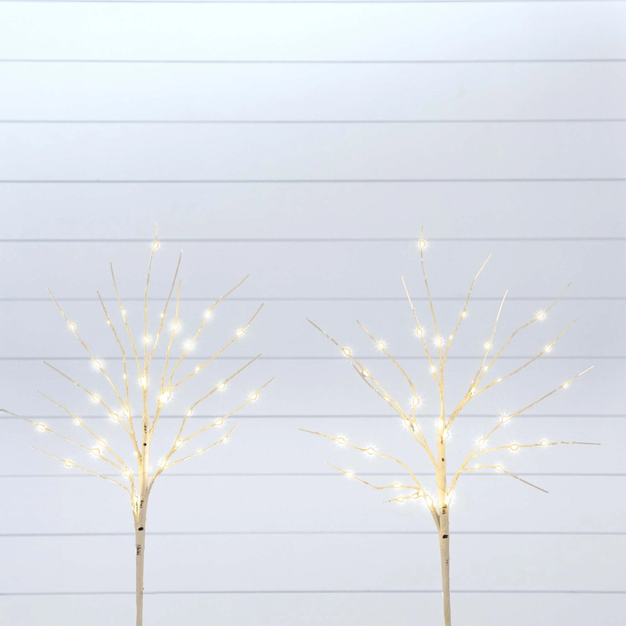 24" Pre-Lit Artificial White Birch Branches with 80 Warm White LED Lights - Set of 2 - Image 2