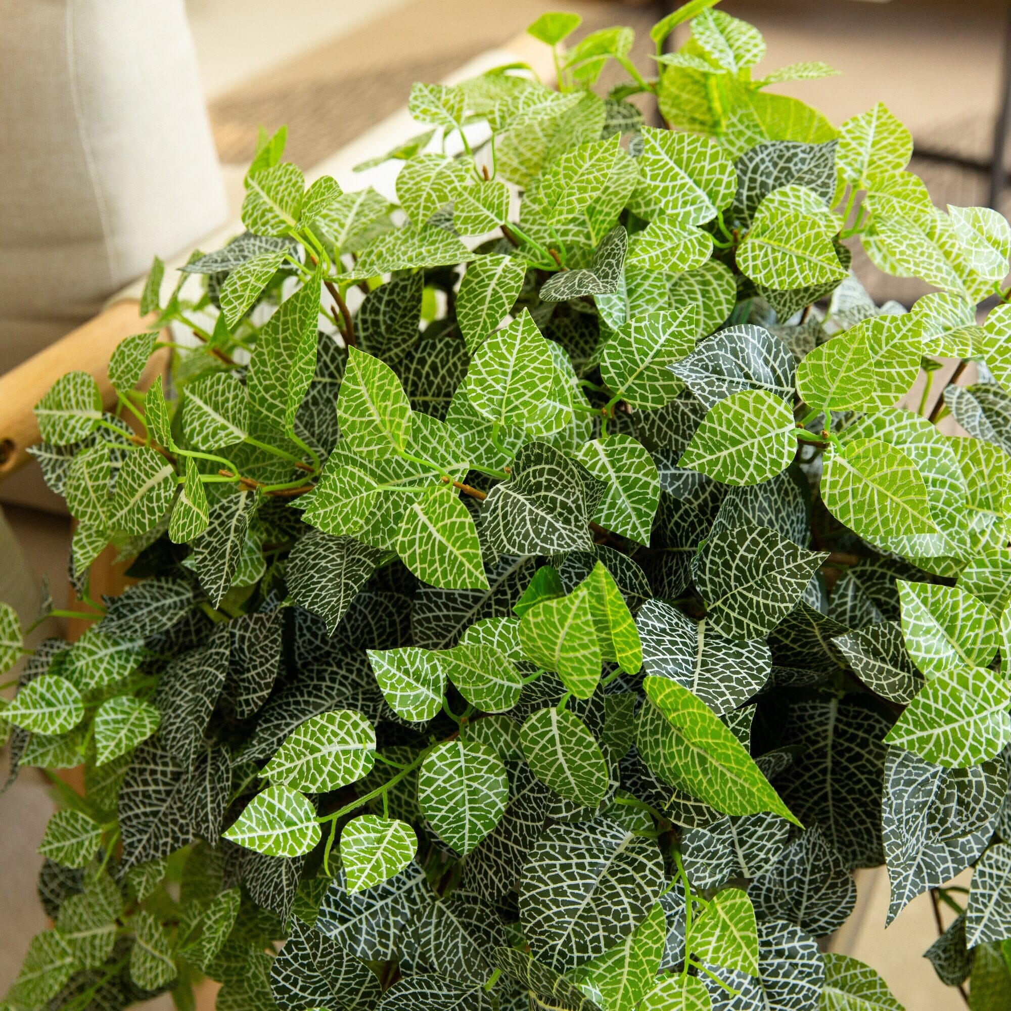 24" UV Resistant Artificial Fittonia Hanging Plant (Indoor/Outdoor) - Set of 3 - Image 2