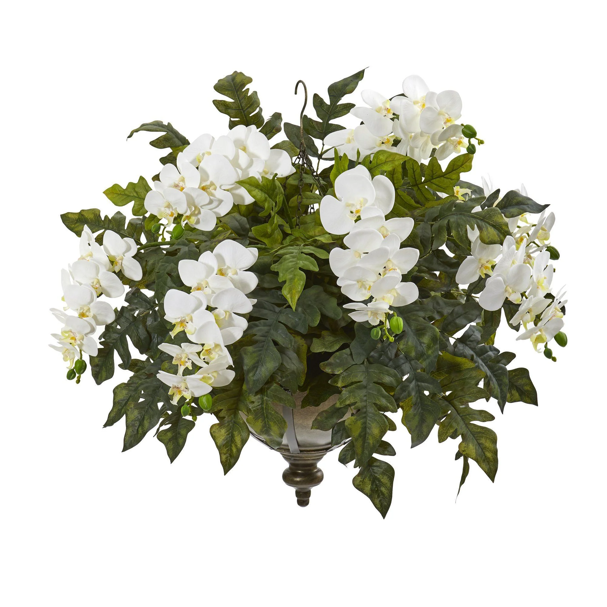 25” Phalaenopsis Orchid and Holly Fern Plant in Hanging Bowl