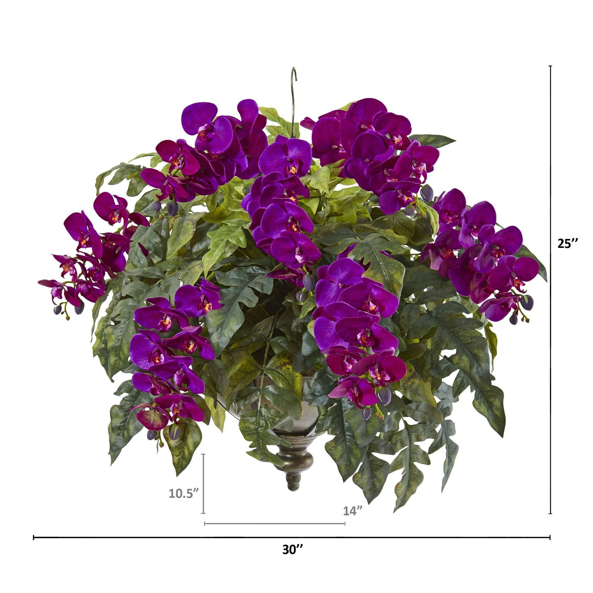 25” Phalaenopsis Orchid and Holly Fern Plant in Hanging Bowl - Image 2