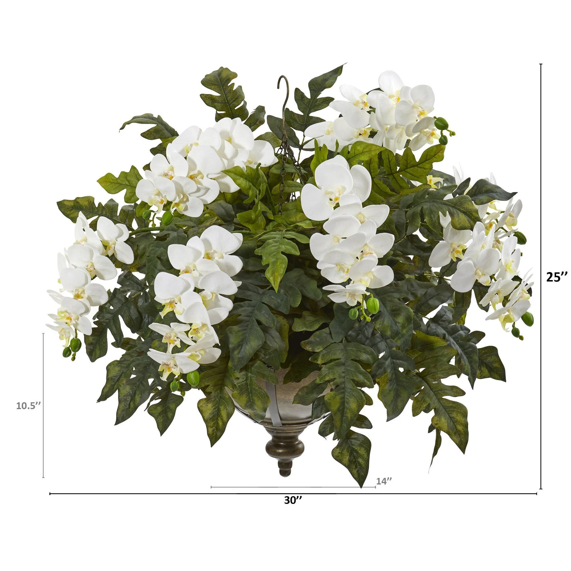 25” Phalaenopsis Orchid and Holly Fern Plant in Hanging Bowl - Image 3