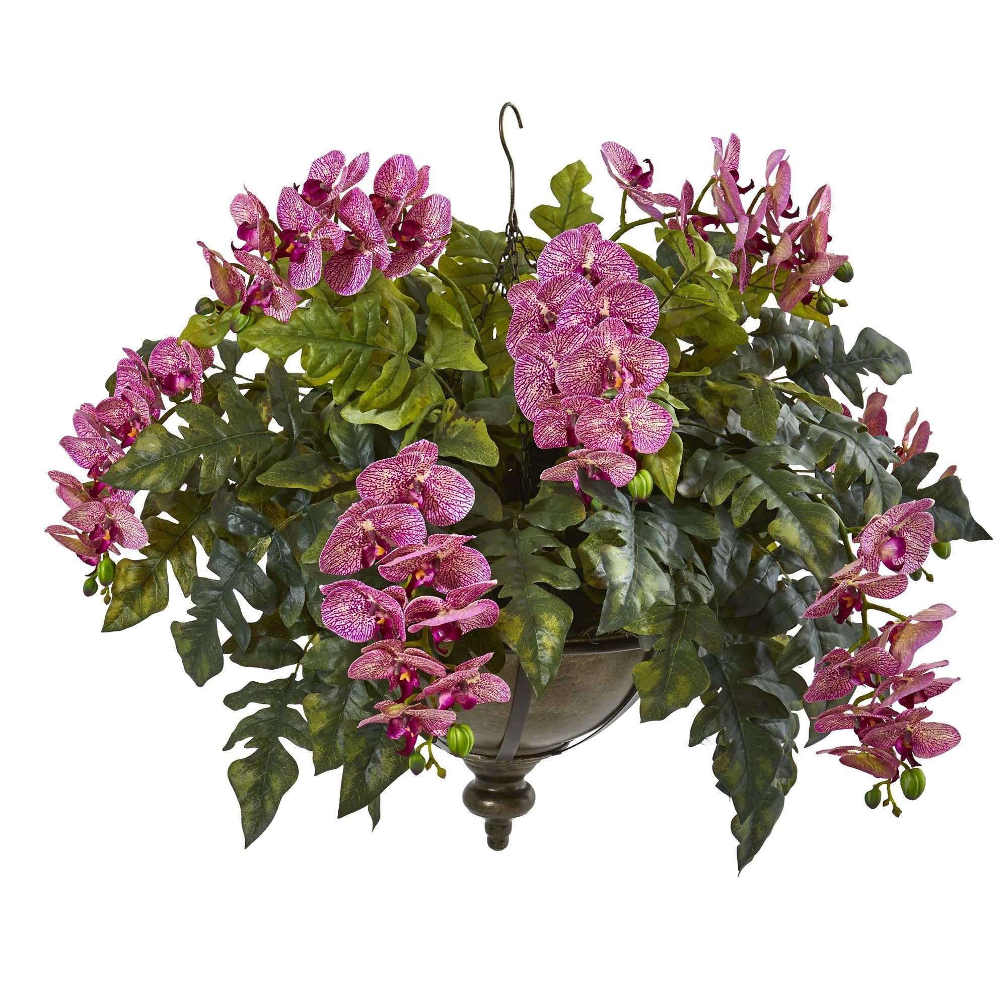 25” Phalaenopsis Orchid and Holly Fern Plant in Hanging Bowl - Image 4