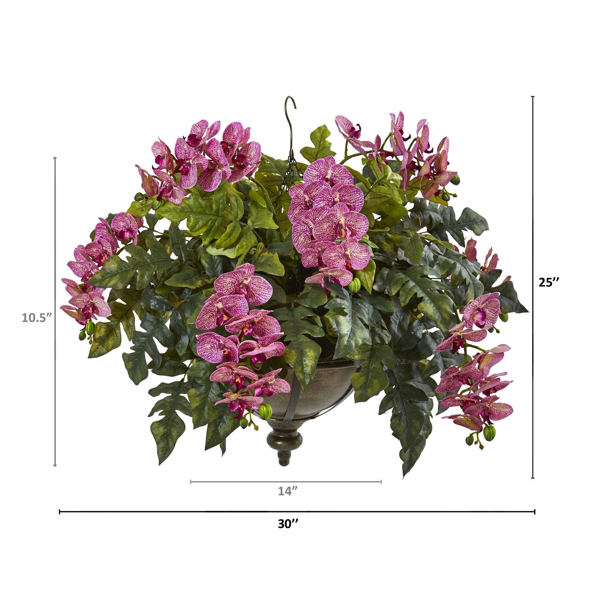 25” Phalaenopsis Orchid and Holly Fern Plant in Hanging Bowl - Image 5