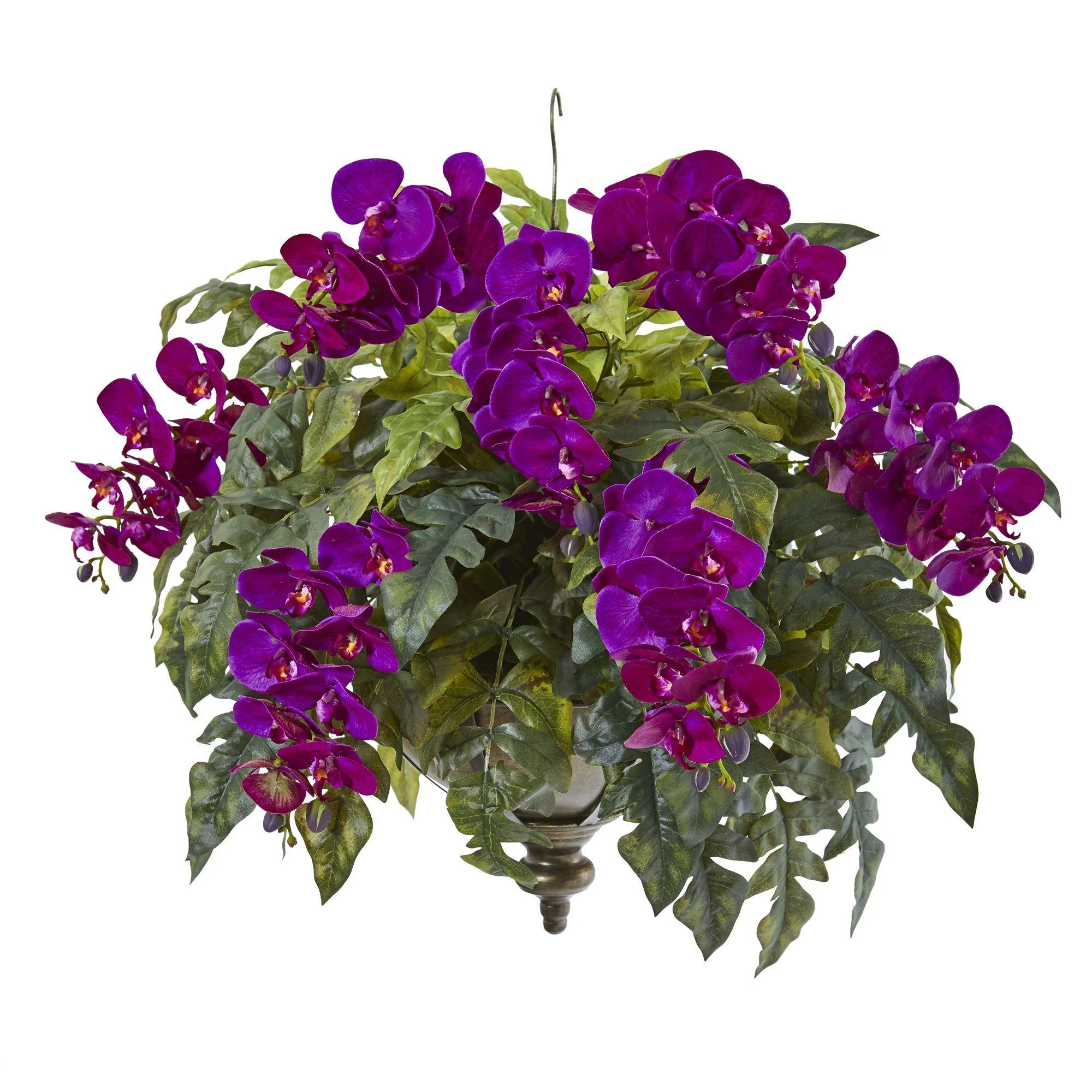 25” Phalaenopsis Orchid and Holly Fern Plant in Hanging Bowl - Image 6