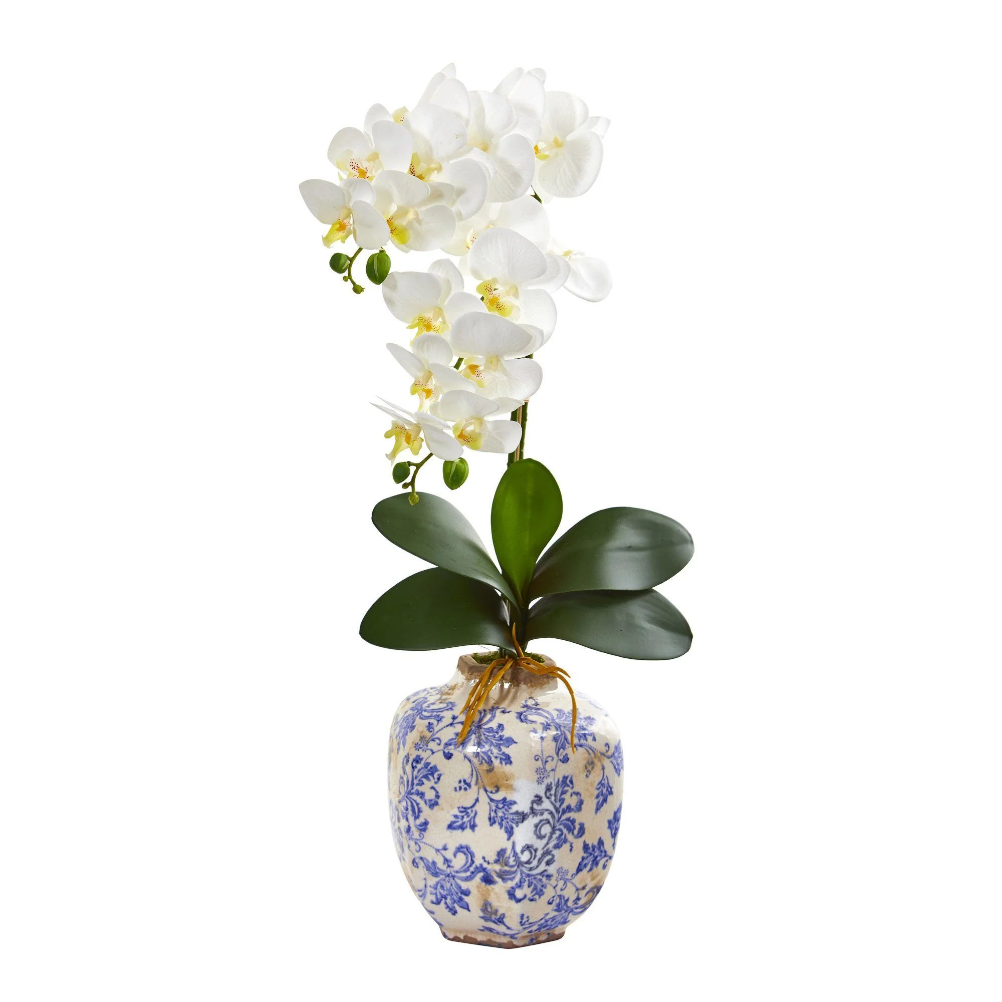 25” Phalaenopsis Orchid Arrangement in Decorative Vase - Image 2