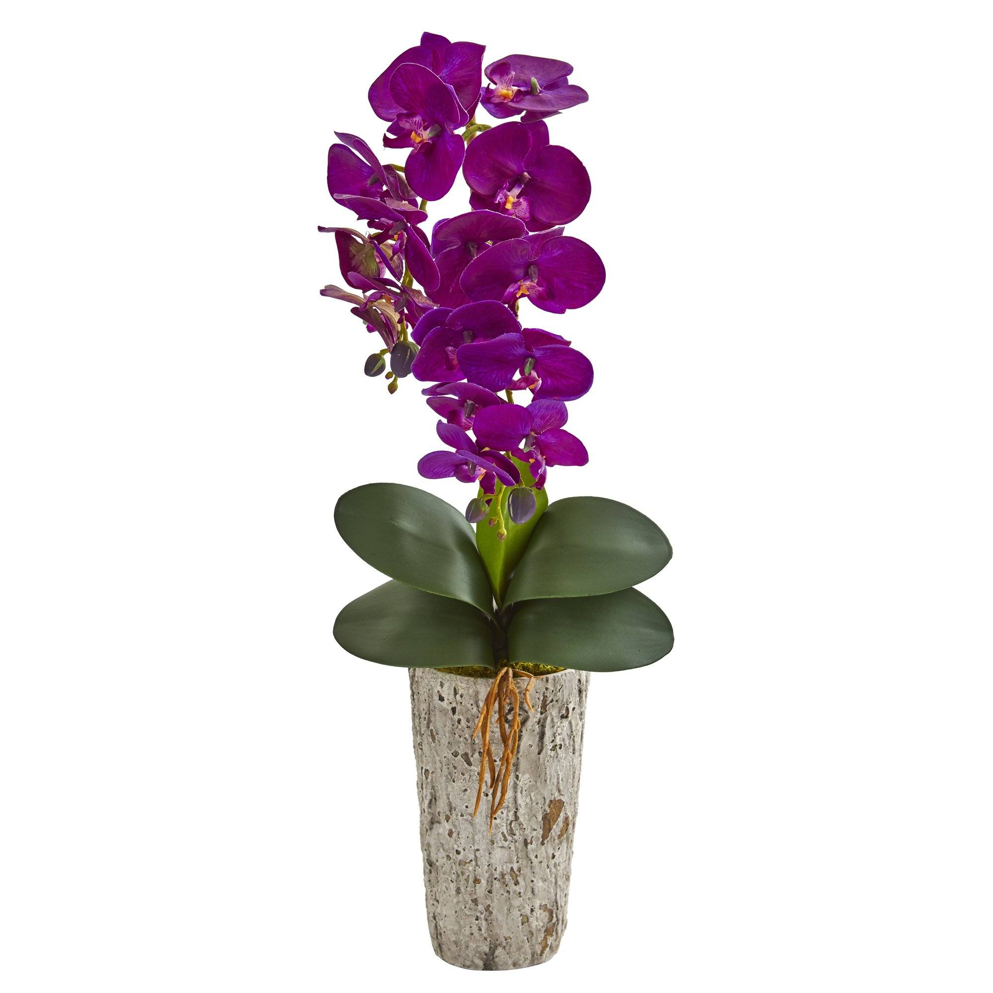 25” Phalaenopsis Orchid Artificial Arrangement in Weathered Oak Vase - Image 3