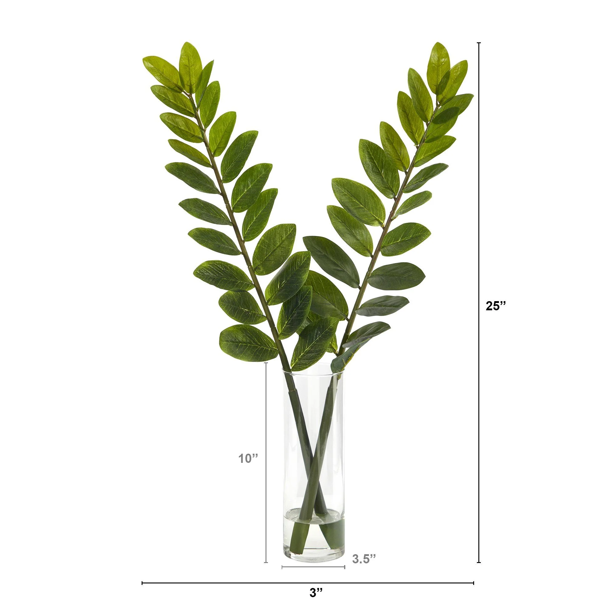 25” Zamioculcas Artificial Plant in Glass Planter - Image 3