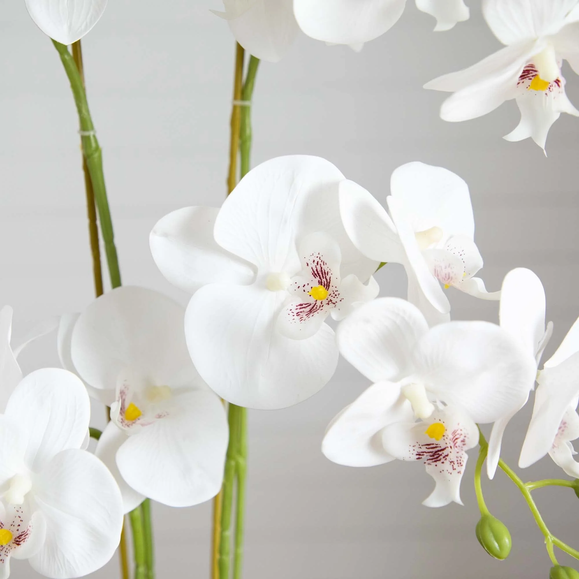 26” Artificial Phalaenopsis Orchid Arrangement in Decorative Ceramic Vase (Real Touch) - Image 2
