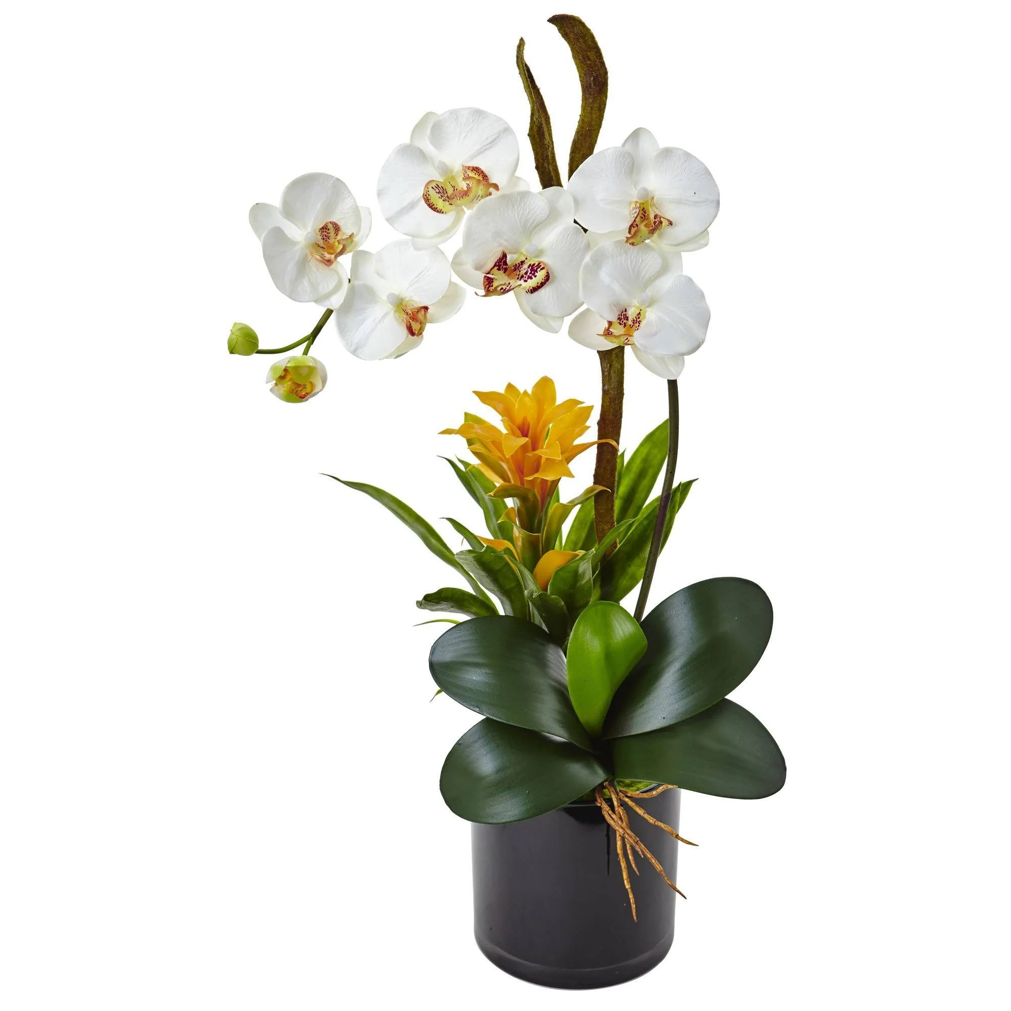 26” Orchid and Bromeliad in Glossy Black Cylinder - Image 2