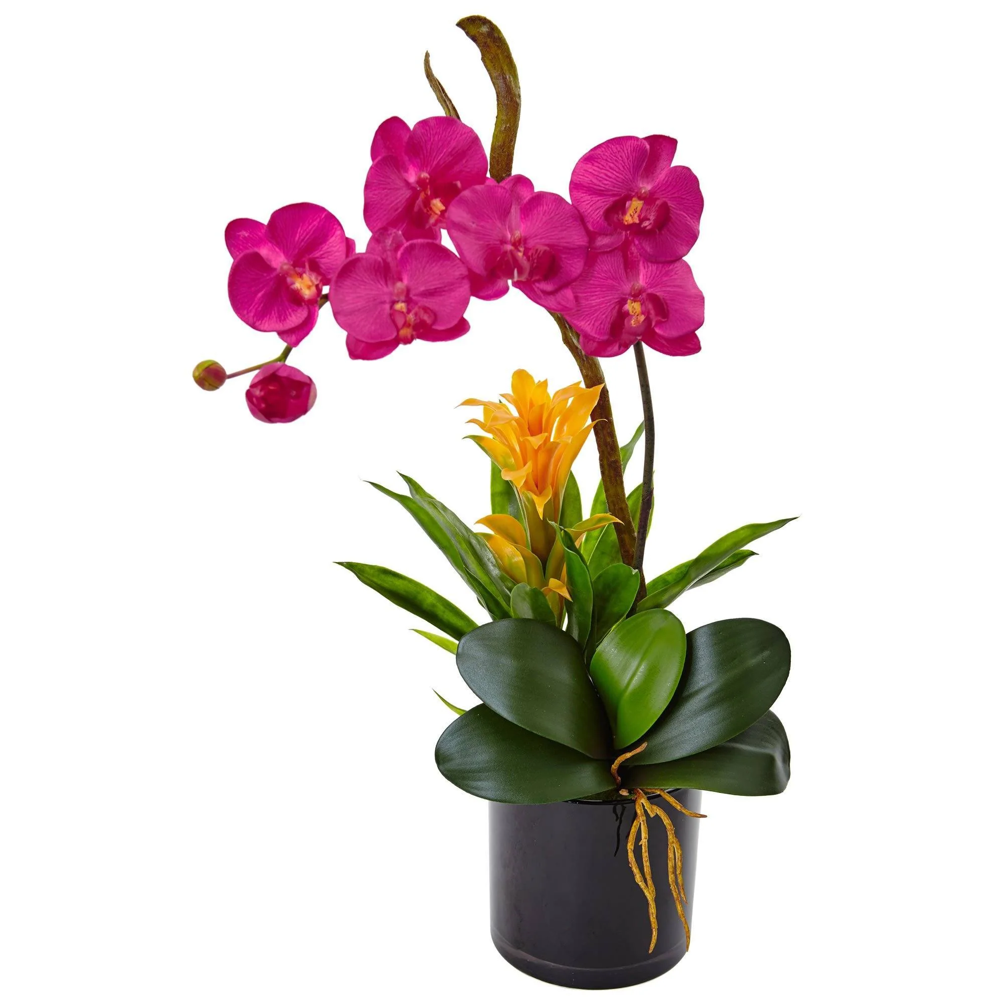 26” Orchid and Bromeliad in Glossy Black Cylinder - Image 3