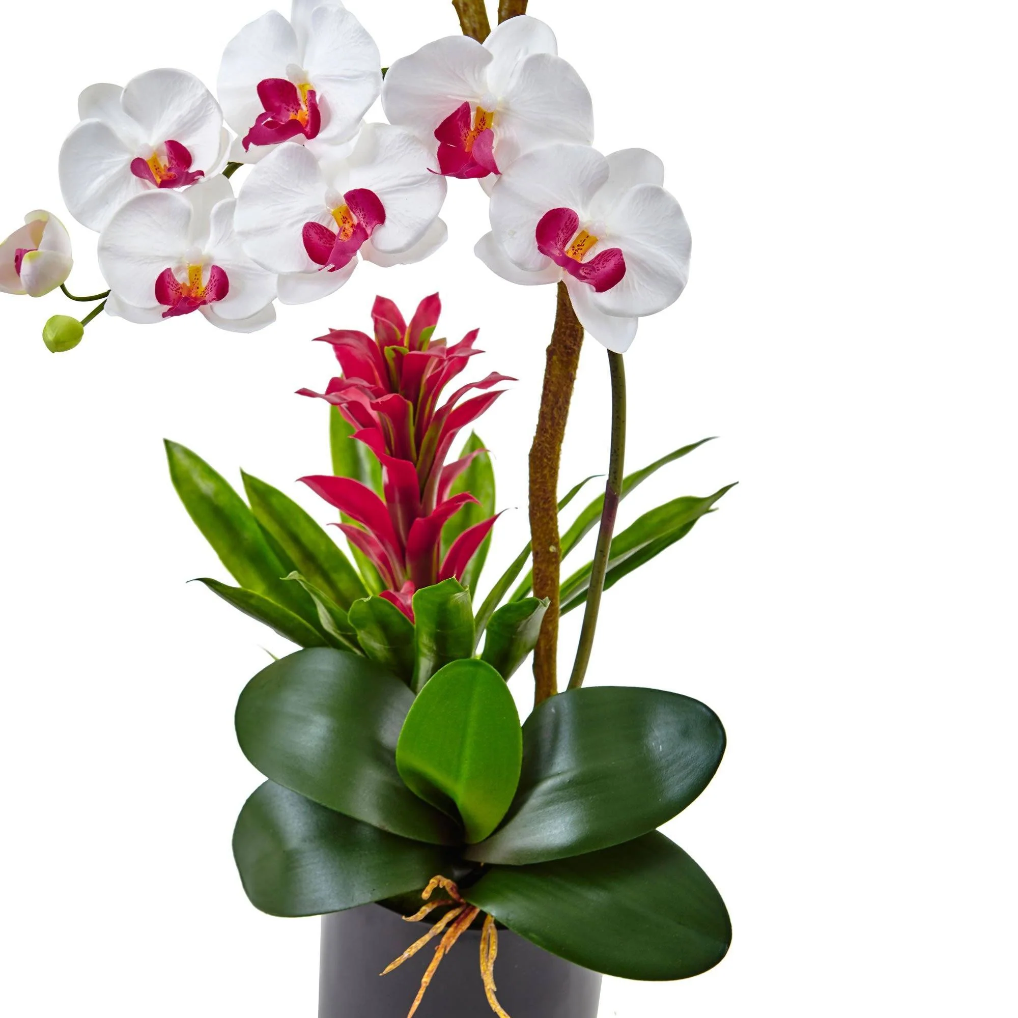 26” Orchid and Bromeliad in Glossy Black Cylinder - Image 4