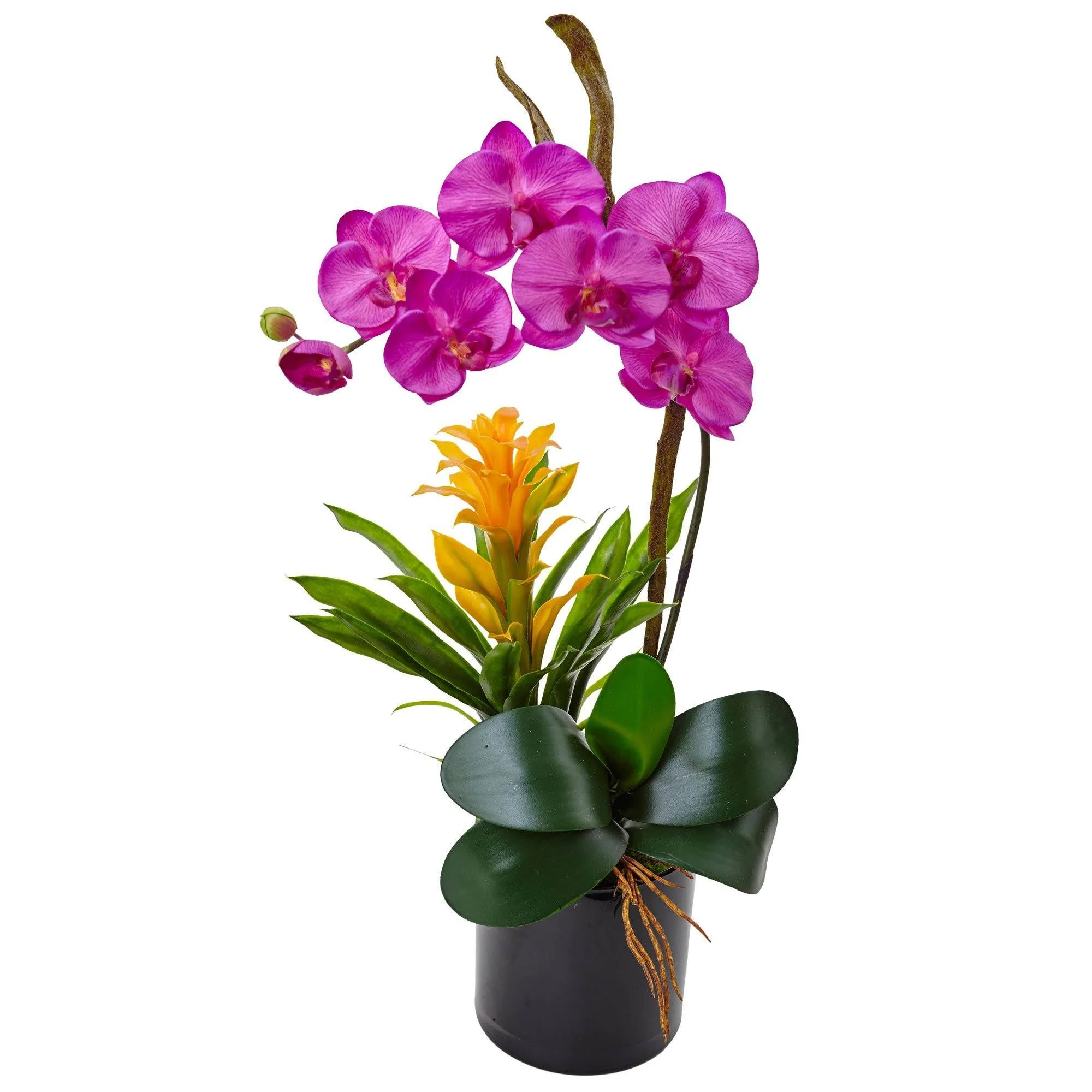 26” Orchid and Bromeliad in Glossy Black Cylinder - Image 6