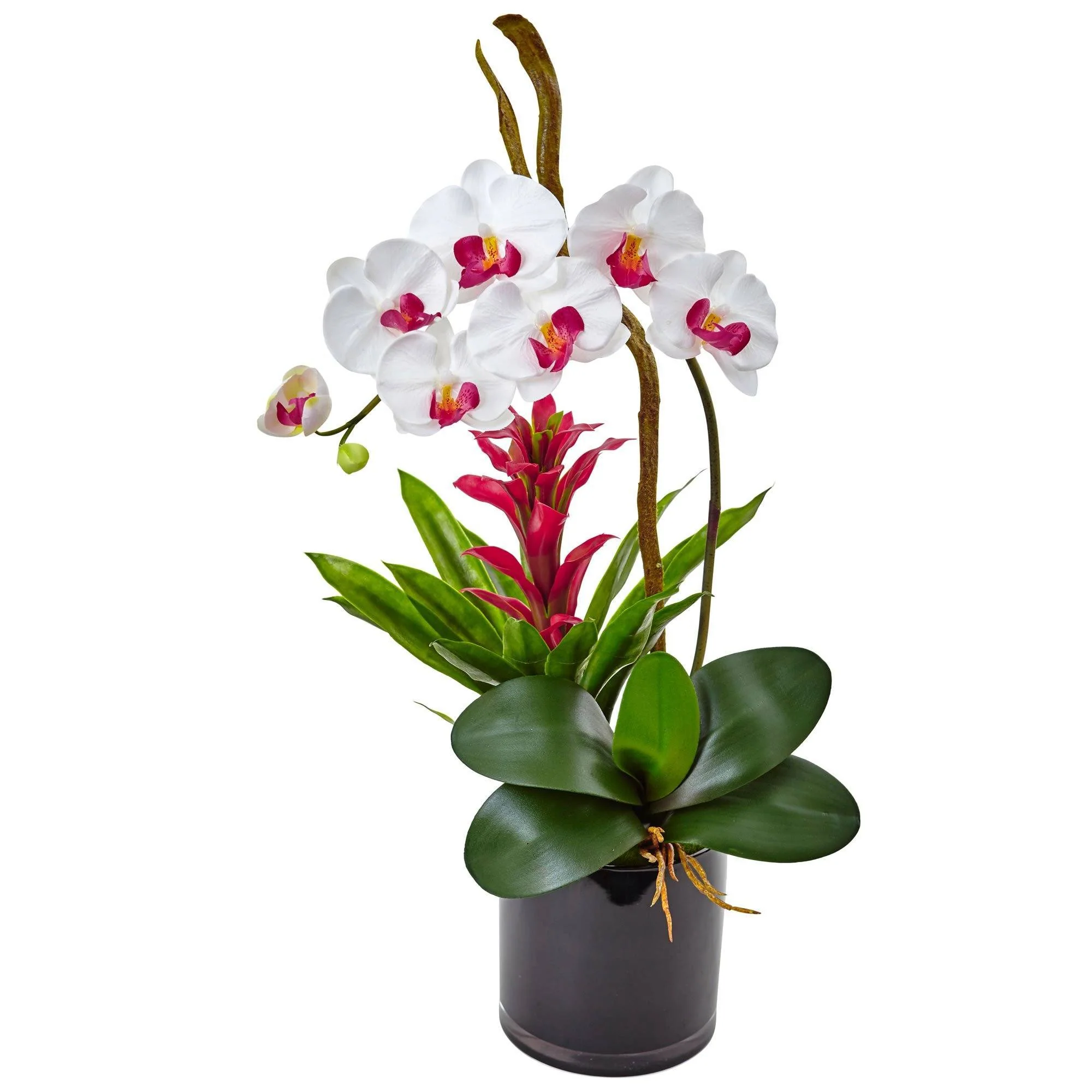 26” Orchid and Bromeliad in Glossy Black Cylinder - Image 8