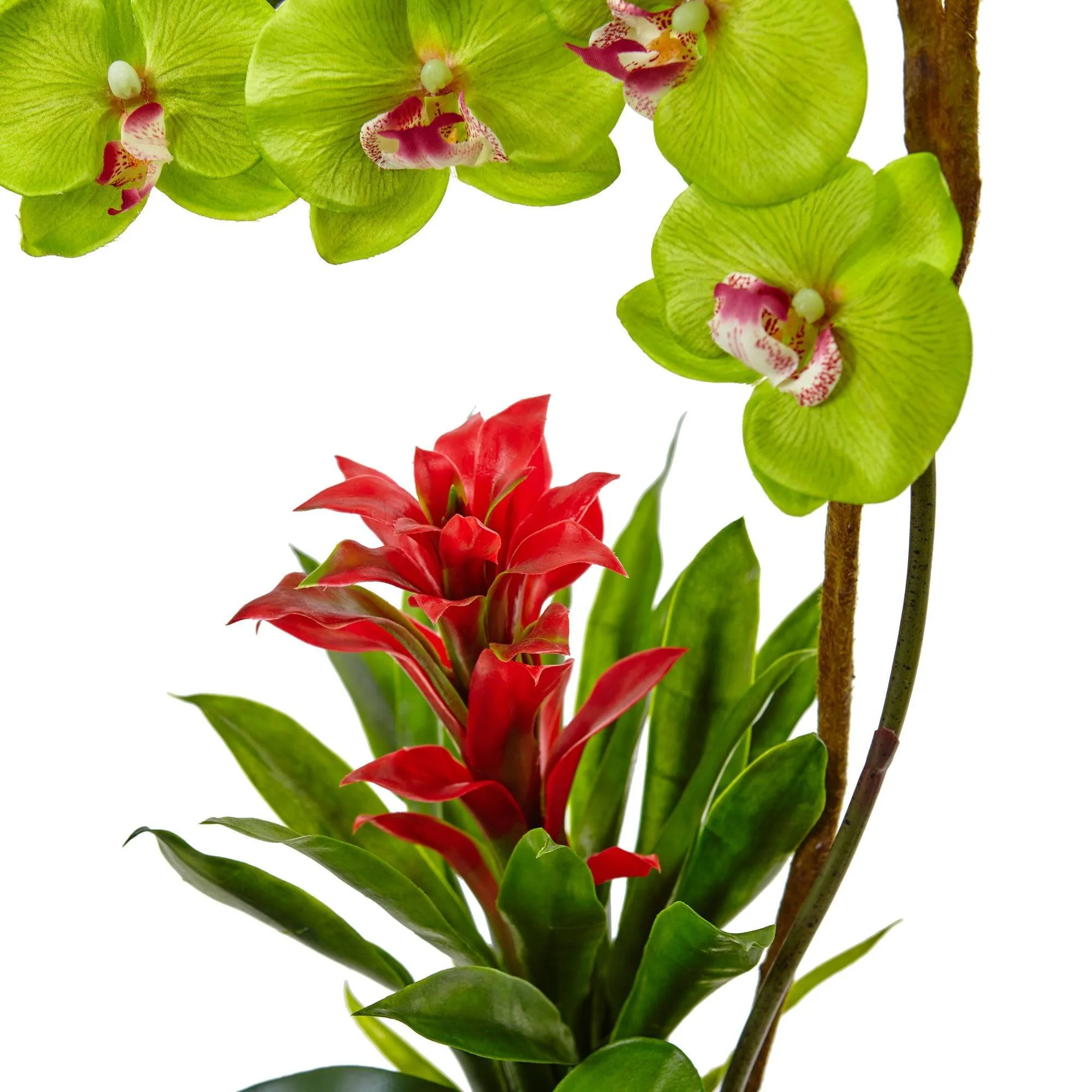 26” Orchid and Bromeliad in Glossy Black Cylinder - Image 9