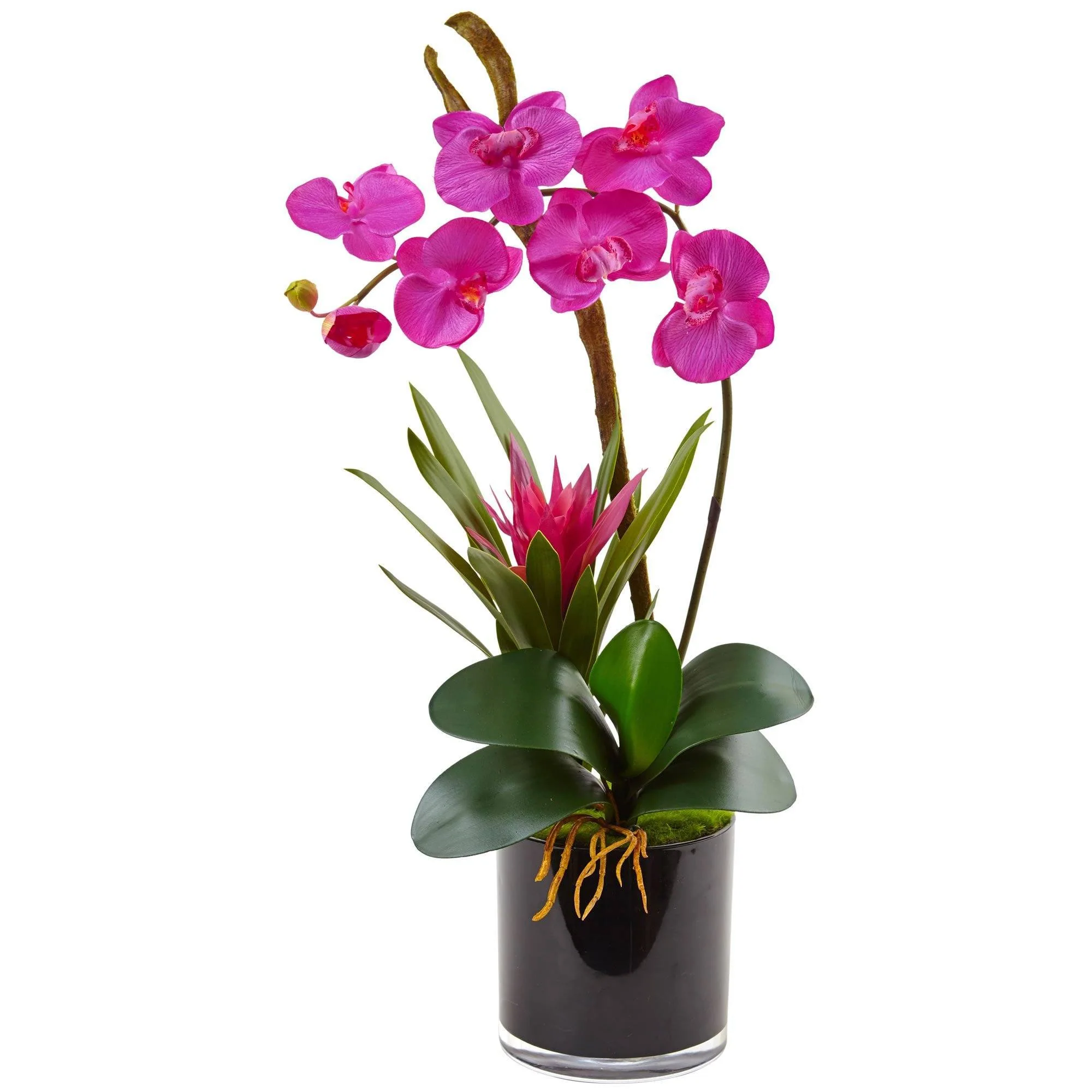 Silk Orchid and Bromeliad in Glossy Black Cylinder vase - Image 2