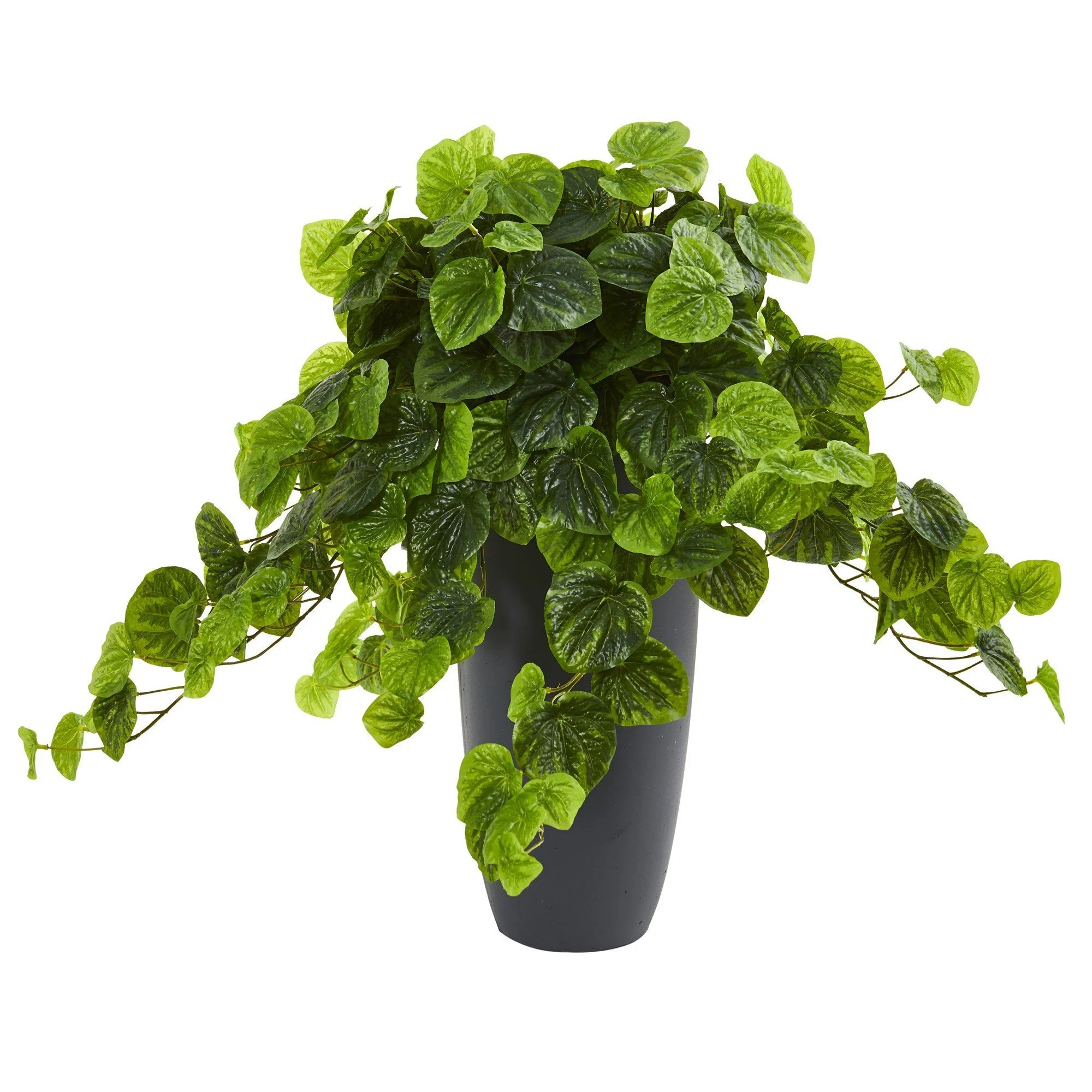 26” Peperomia Artificial Plant in Decorative Planter (Real Touch) - Image 3