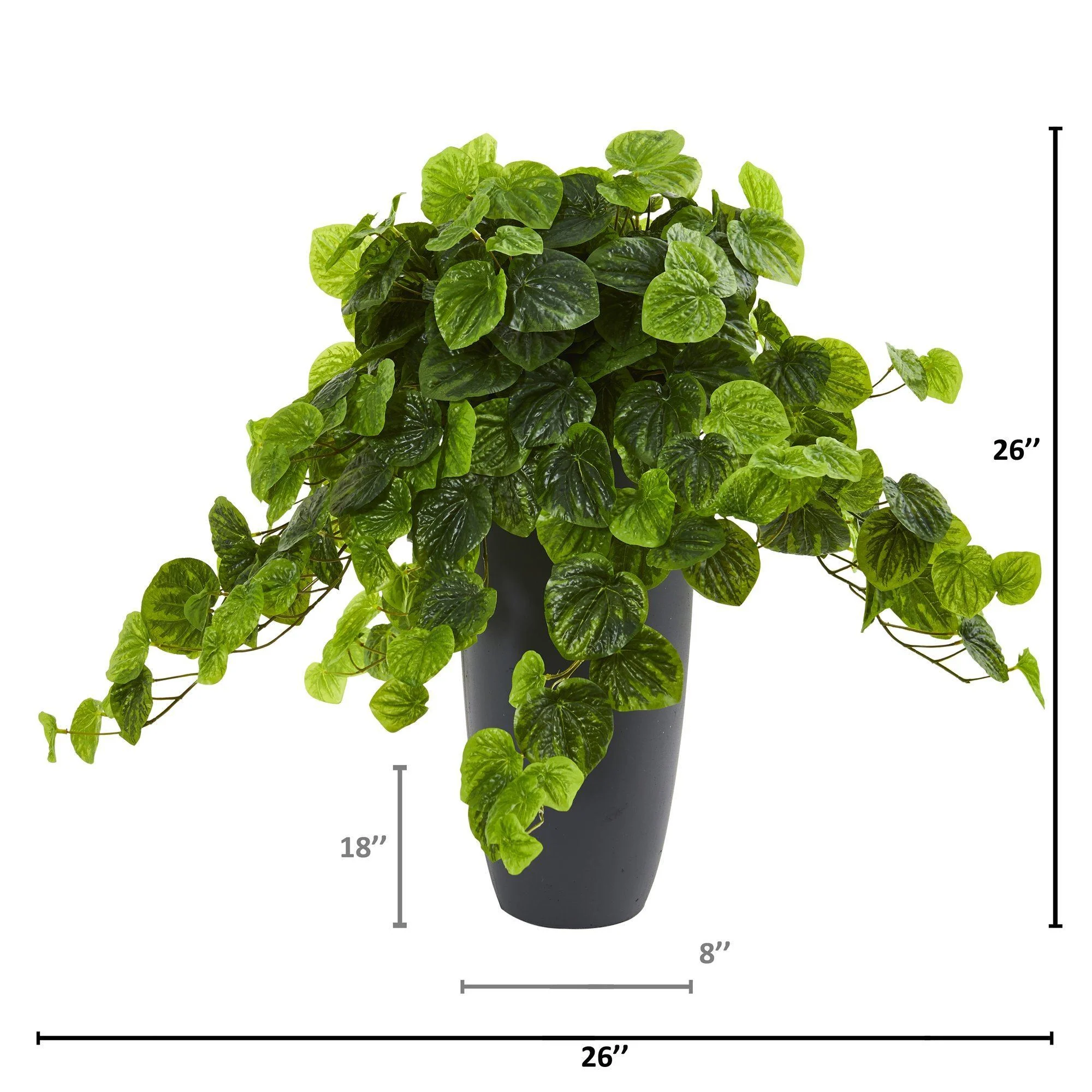 26” Peperomia Artificial Plant in Decorative Planter (Real Touch) - Image 4