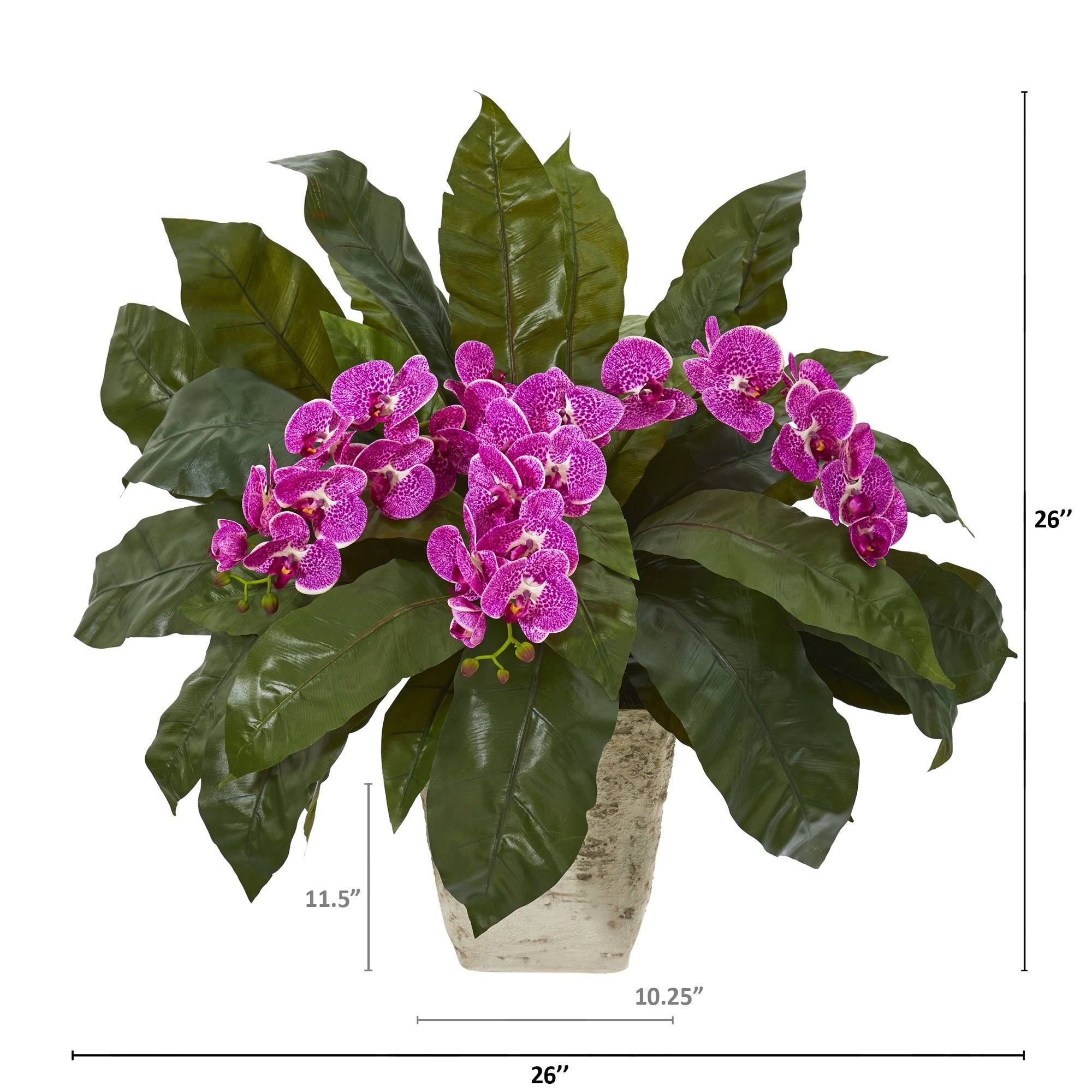 26” Phalaenopsis Orchid and Fern Plant in White Planter - Image 4