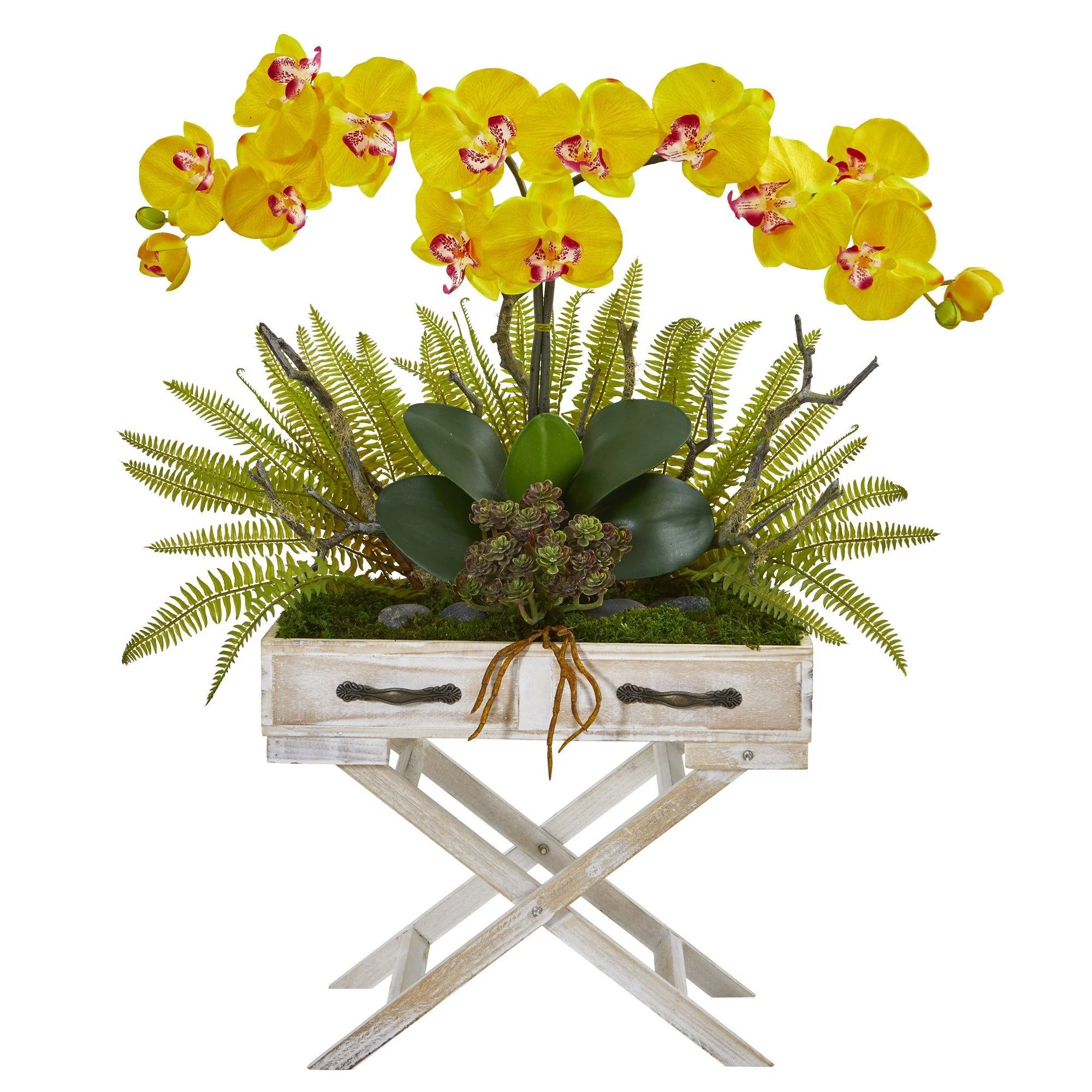 26” Orchid, Fern and Succulent Arrangement in Drawer Planter - Image 5