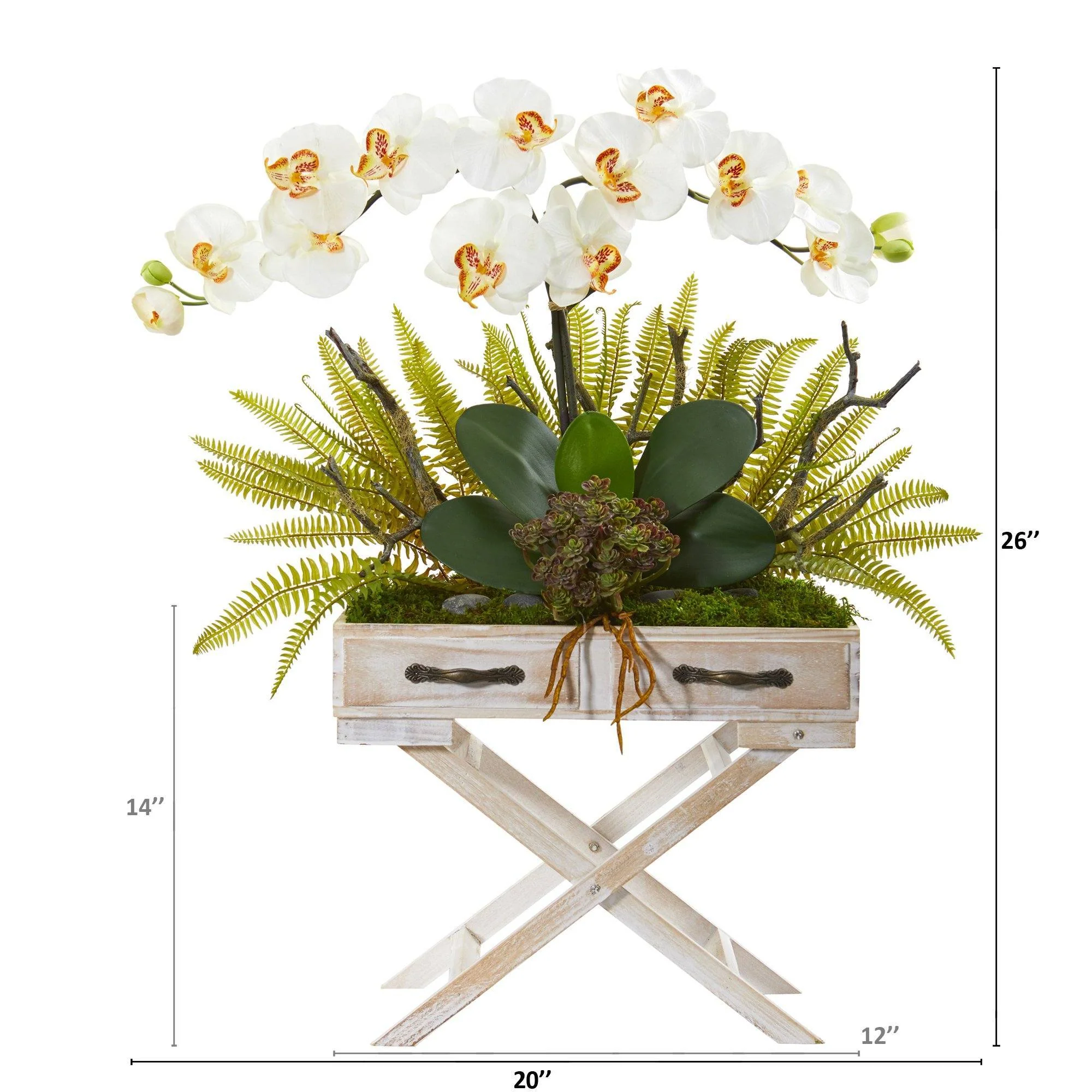 26” Orchid, Fern and Succulent Arrangement in Drawer Planter - Image 6
