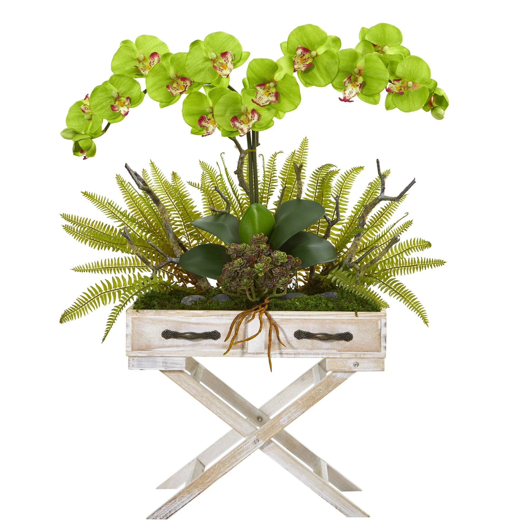 26” Orchid, Fern and Succulent Arrangement in Drawer Planter - Image 8