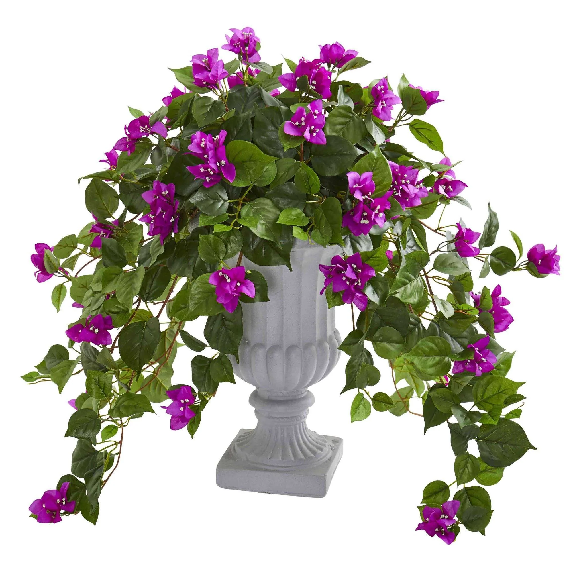 Bougainvillea with Decorative Urn - Image 3
