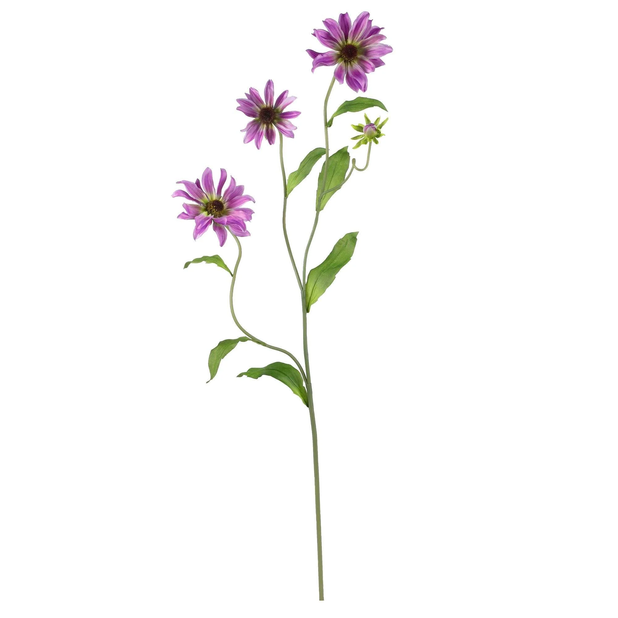 28.5" Cosmo Stem (Set of 12)" - Image 3