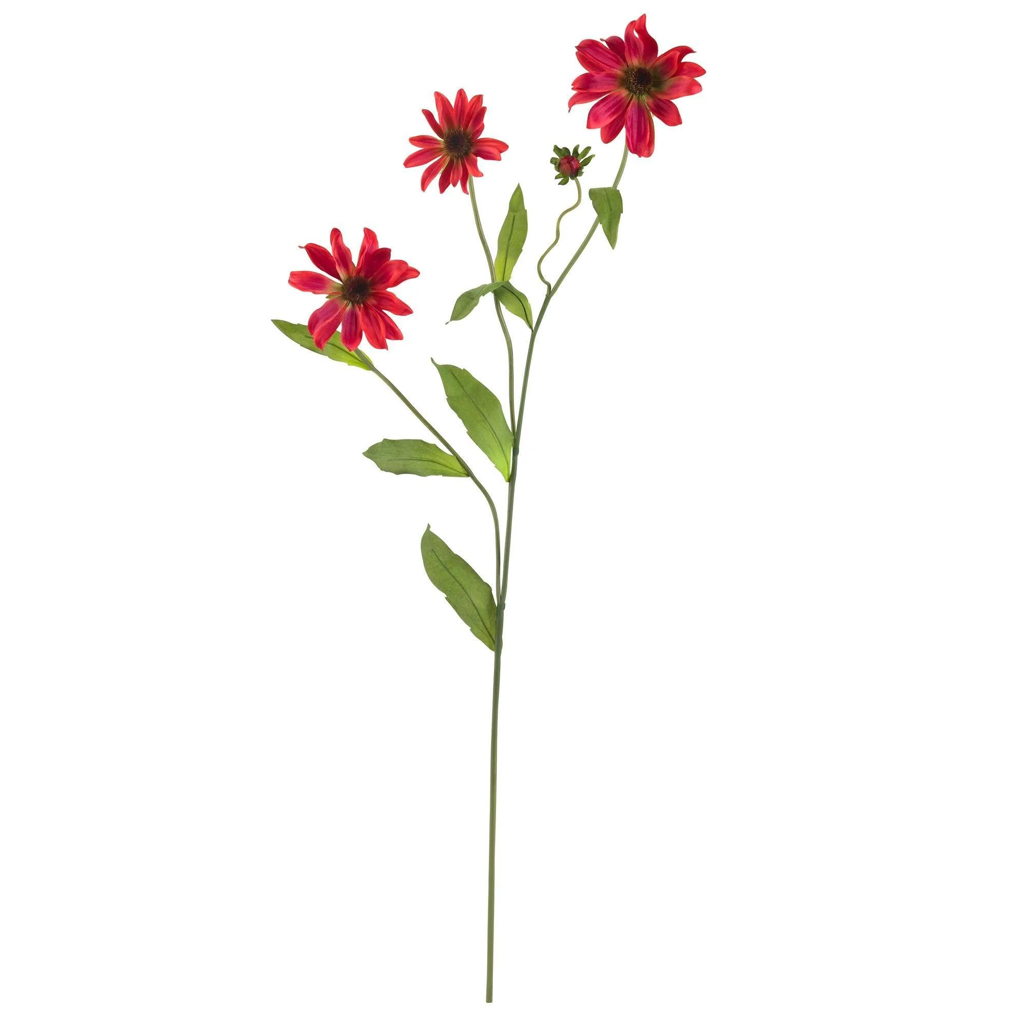 28.5" Cosmo Stem (Set of 12)" - Image 5