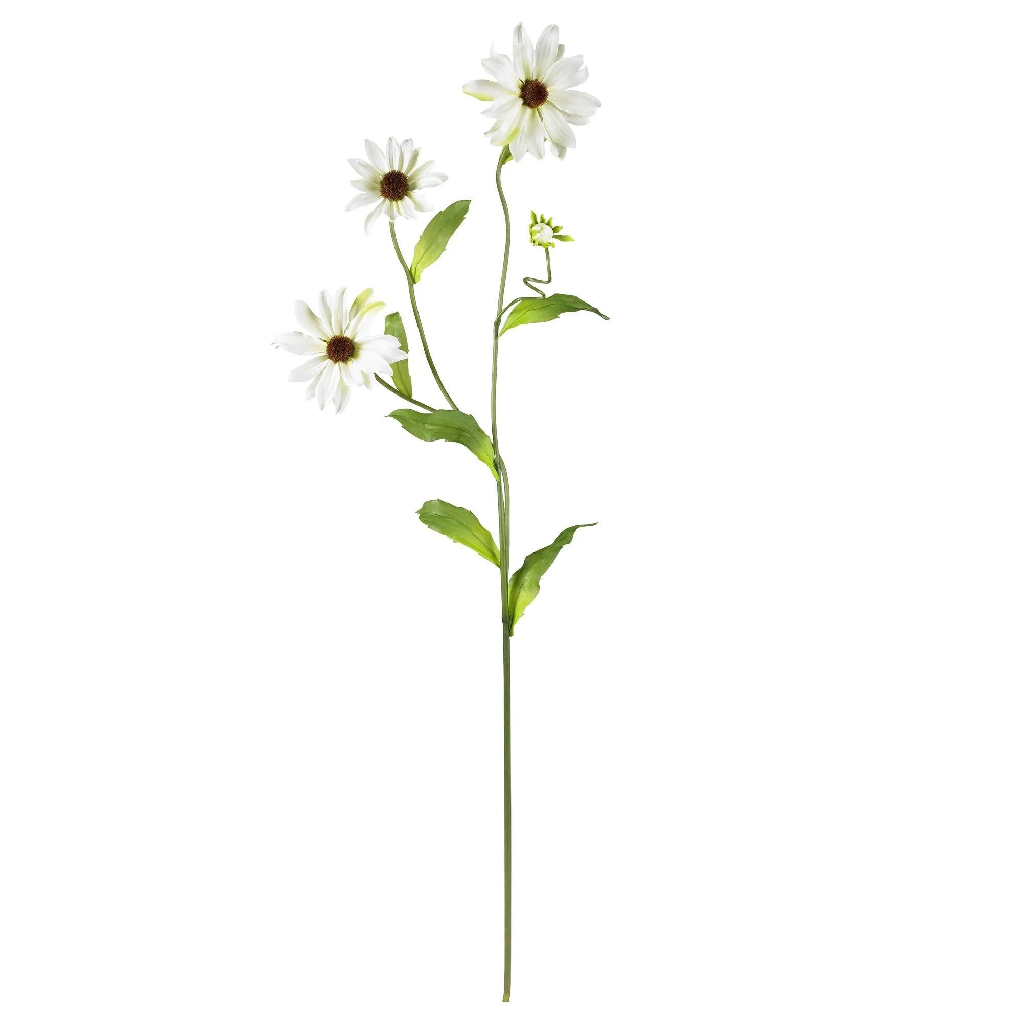 28.5" Cosmo Stem (Set of 12)" - Image 6
