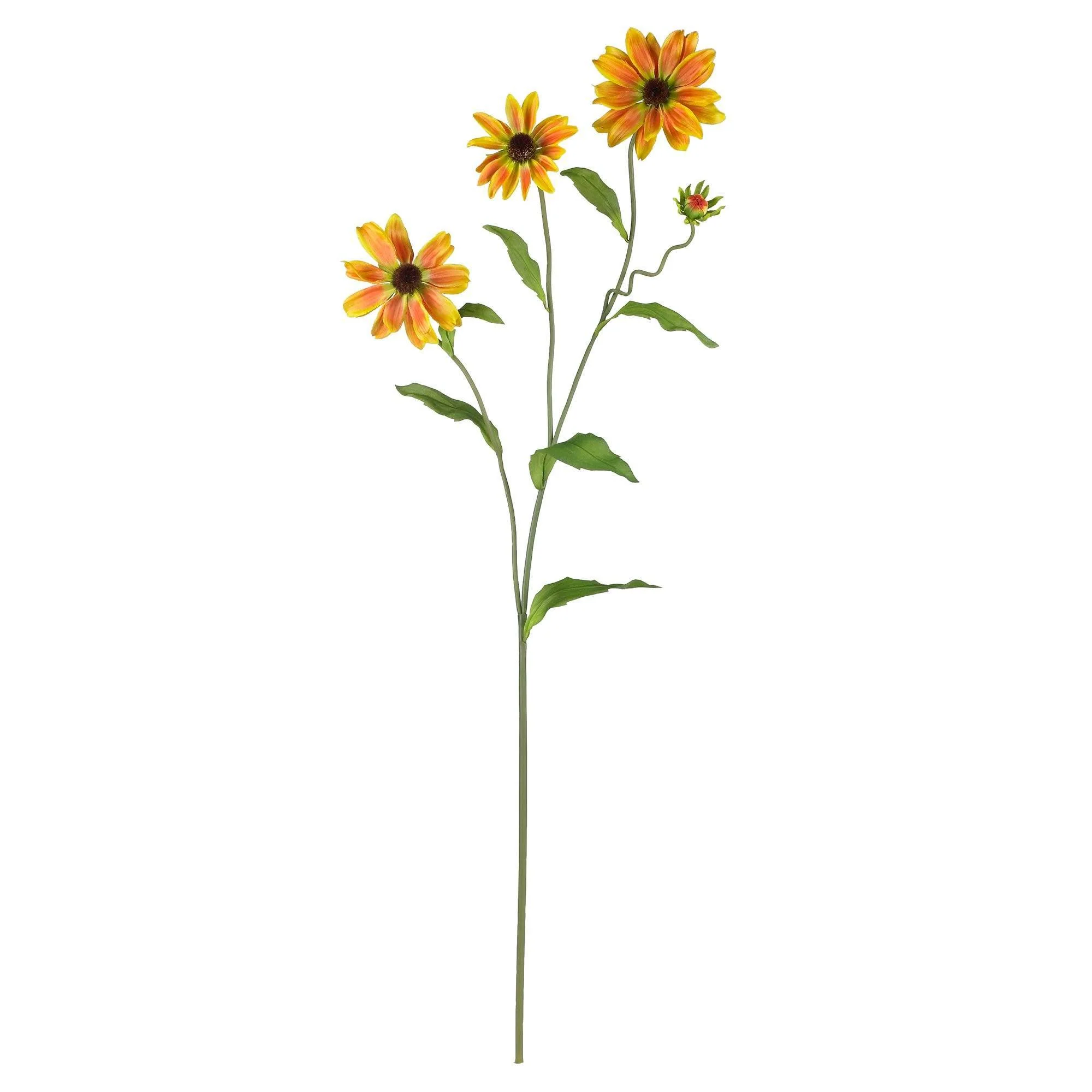 28.5" Cosmo Stem (Set of 12)" - Image 8