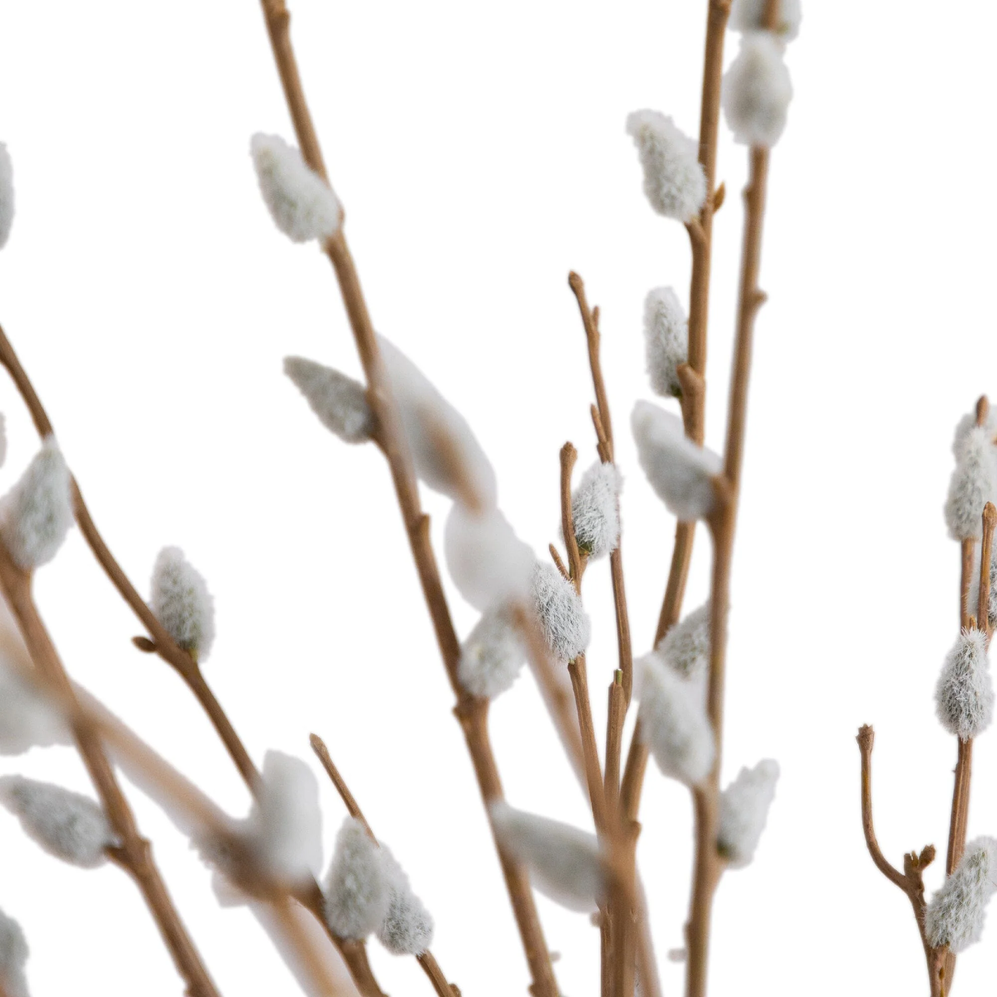 28” Artificial Pussy Willow Arrangement in Modern Metal Black Vase - Image 2
