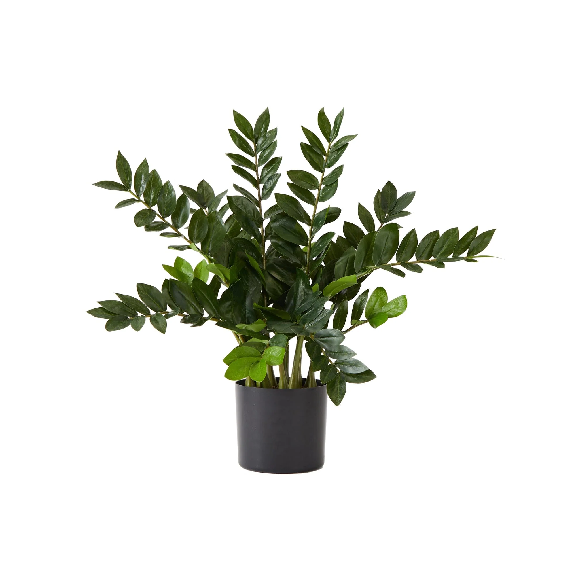 28” Artificial Zamioculcas Plant - Image 2