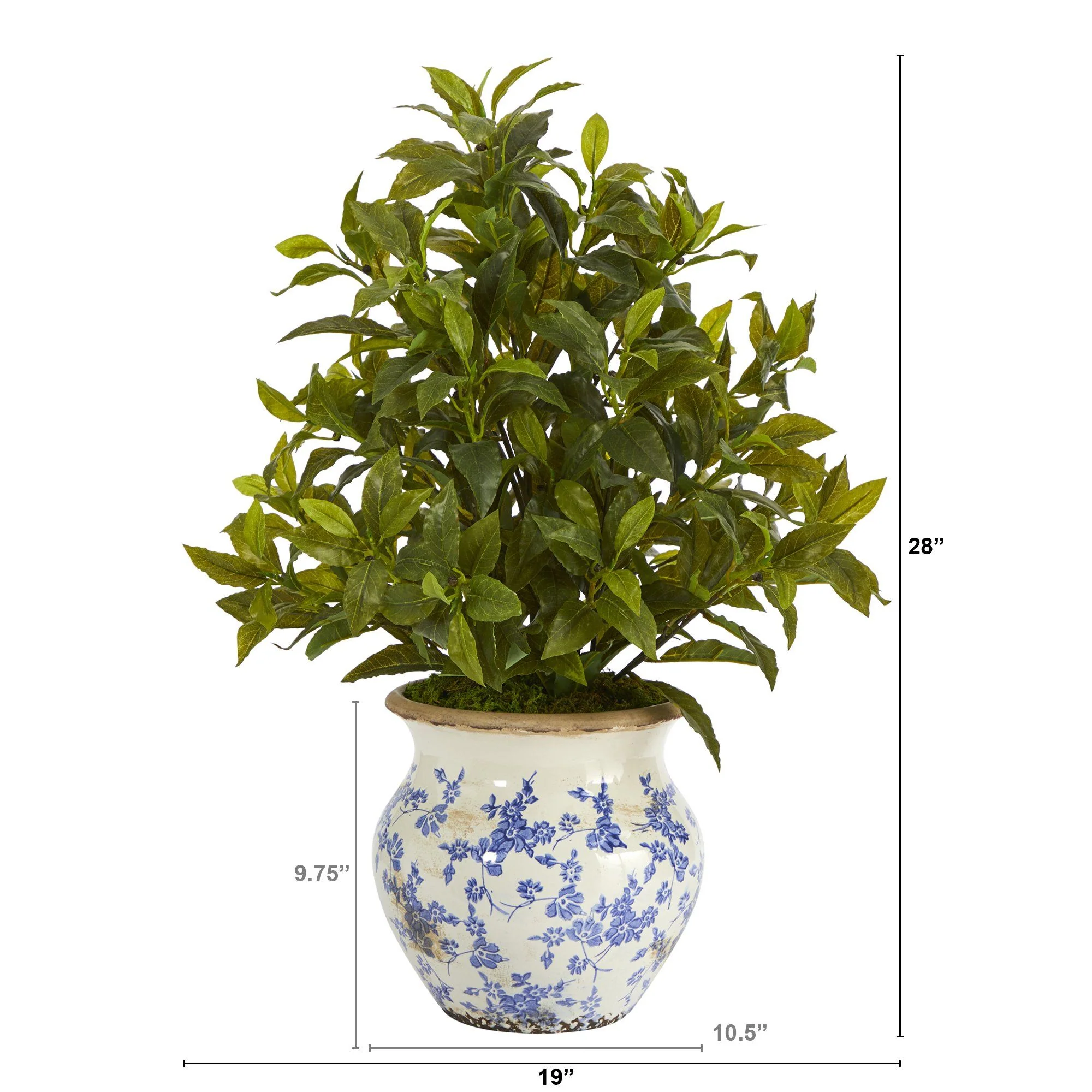 28” Coffee Leaf Artificial Plant in Vintage Floral Planter (Real Touch) - Image 2