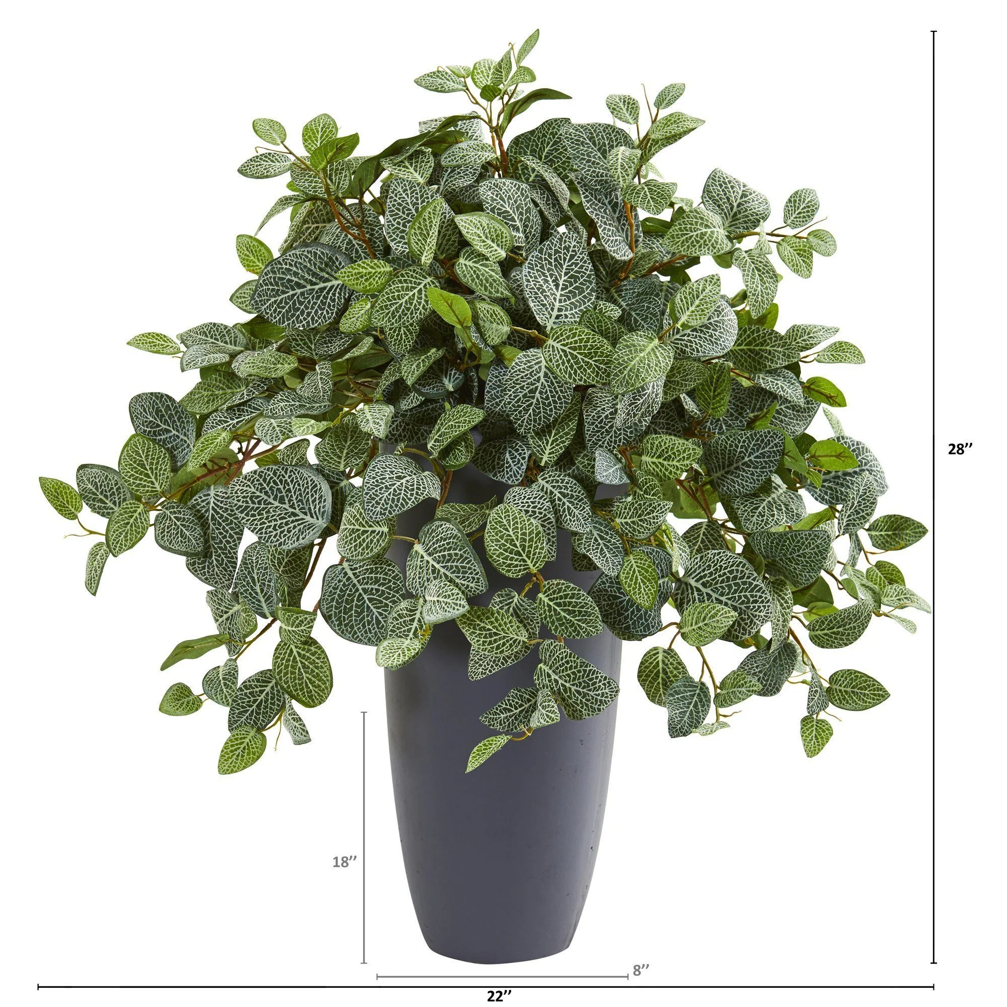 28” Fittonia Artificial Plant in Gray Planter (Real Touch) - Image 2