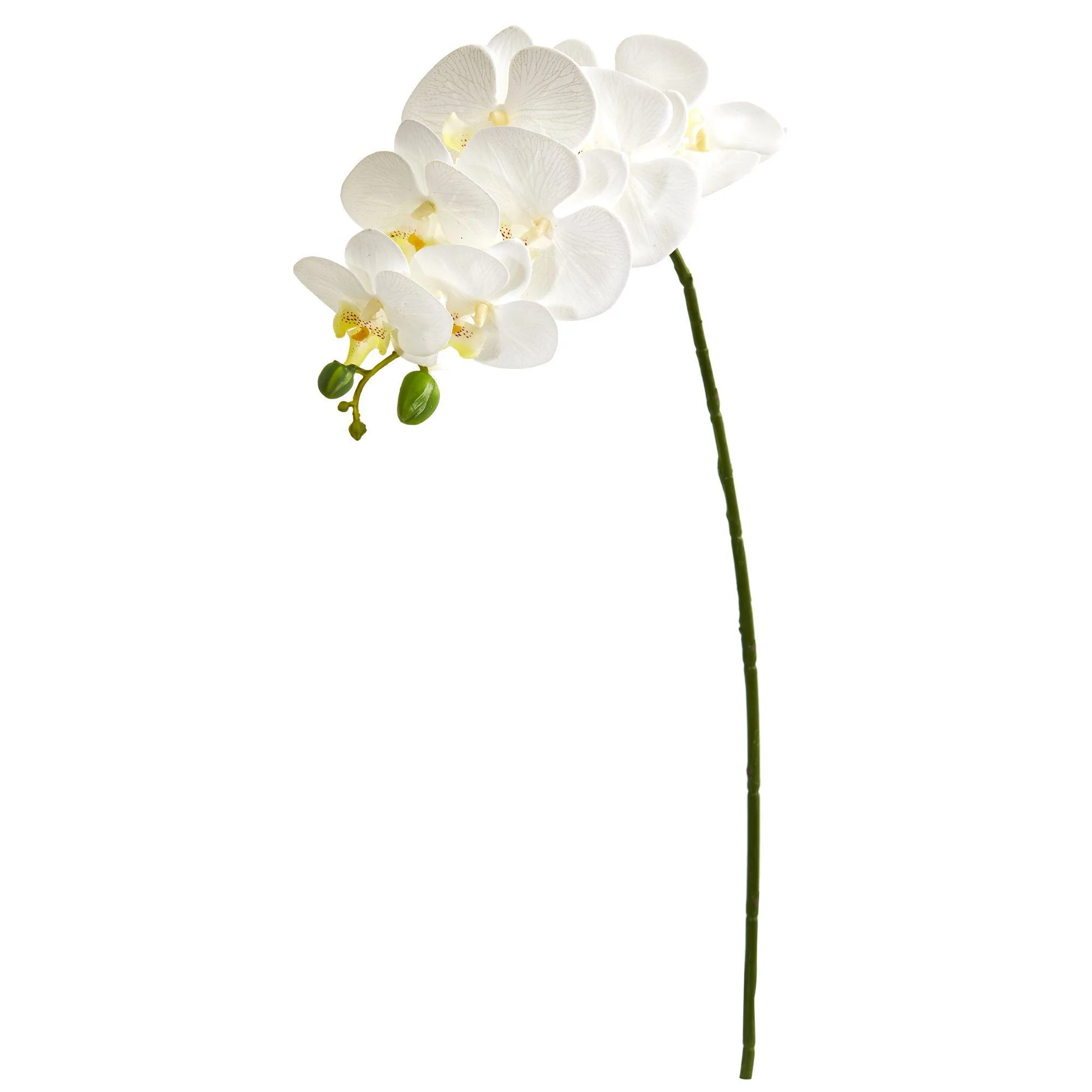 28” Orchid Phalaenopsis Artificial Flower Stem (Set of 6) - Image 5