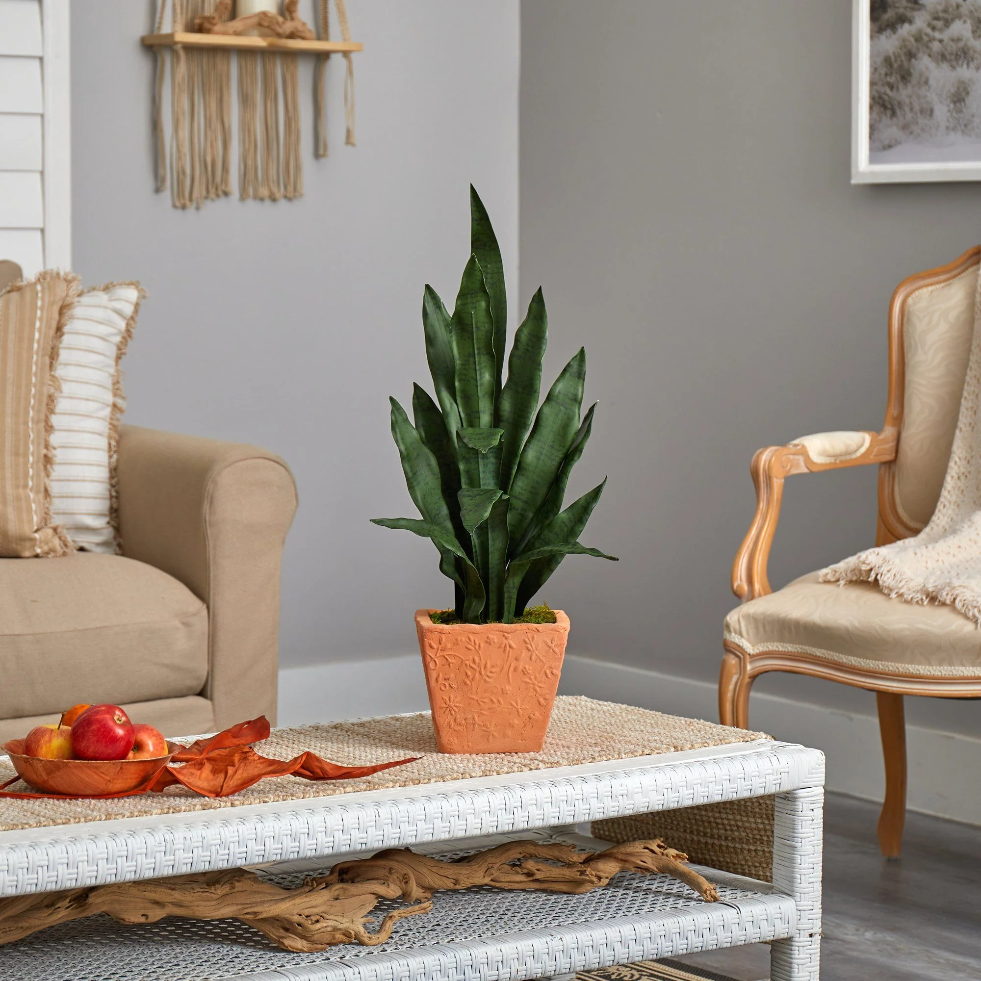 28” Artificial Sansevieria Plant in Terra-Cotta Planter - Image 4