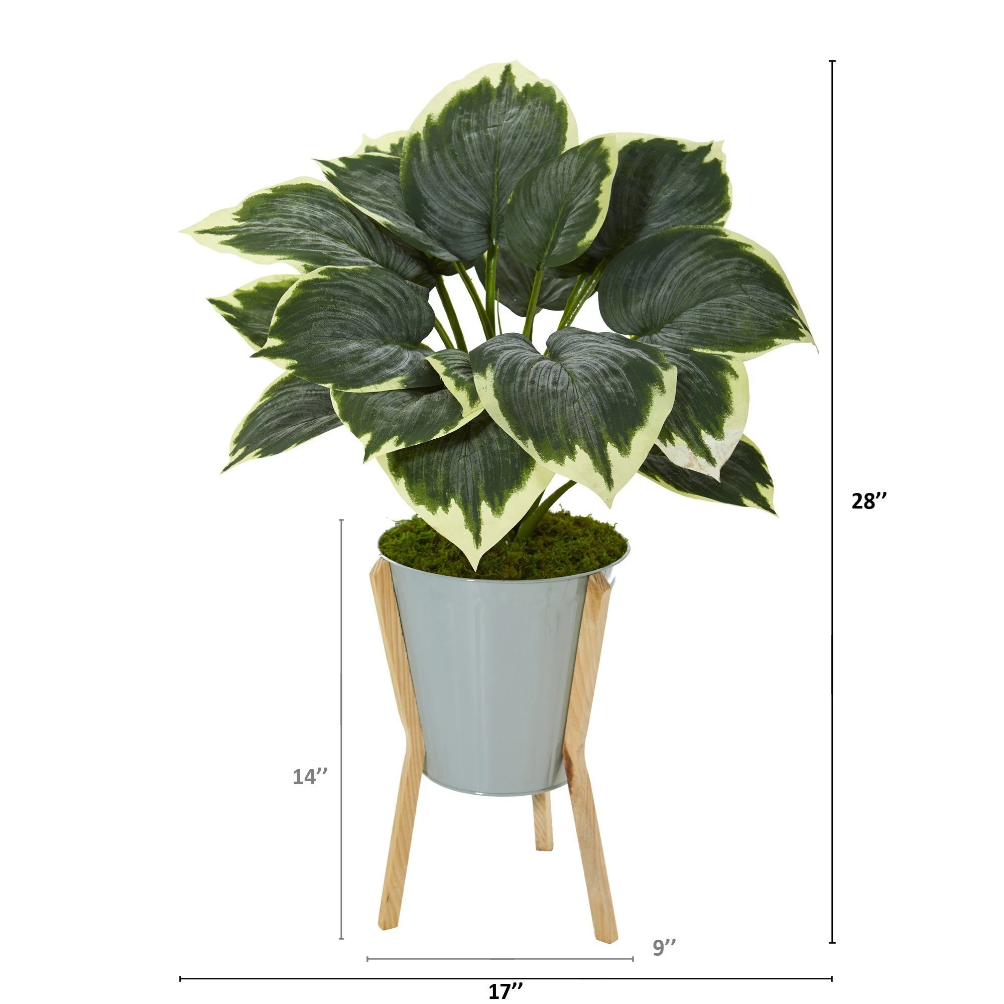 28” Variegated Hosta Artificial Plant in Green Planter with Stand - Image 2