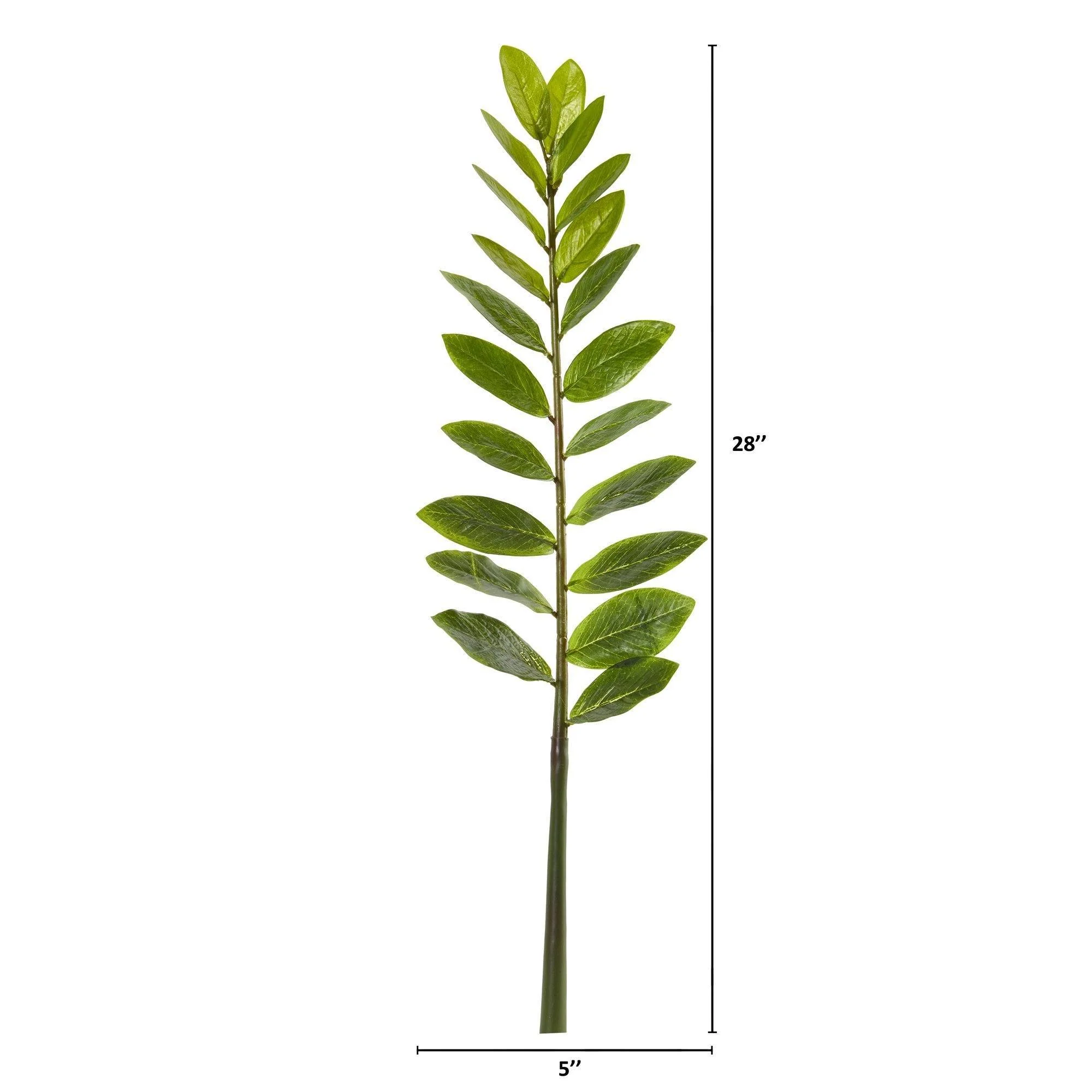 28” Zamioculcas Artificial Flower Stem (Set of 6) - Image 2