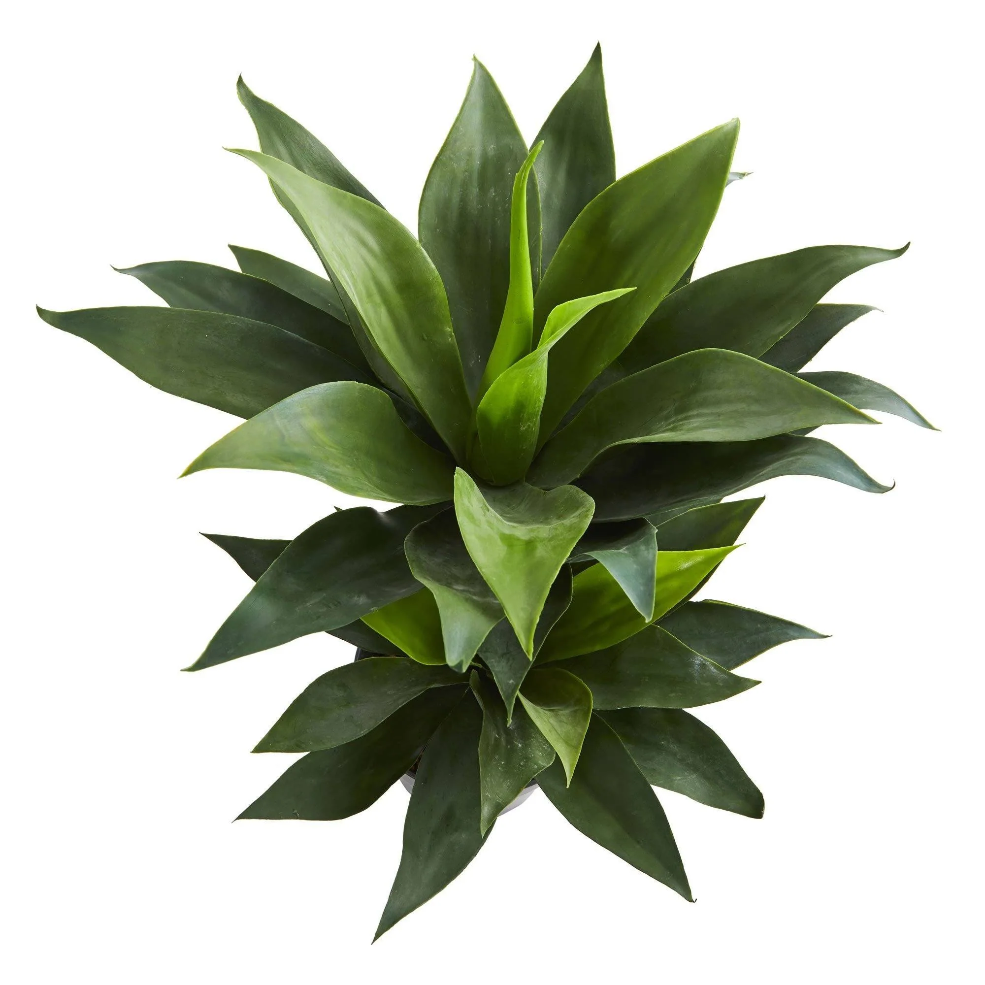 29” Double Agave Succulent Artificial Plant - Image 3