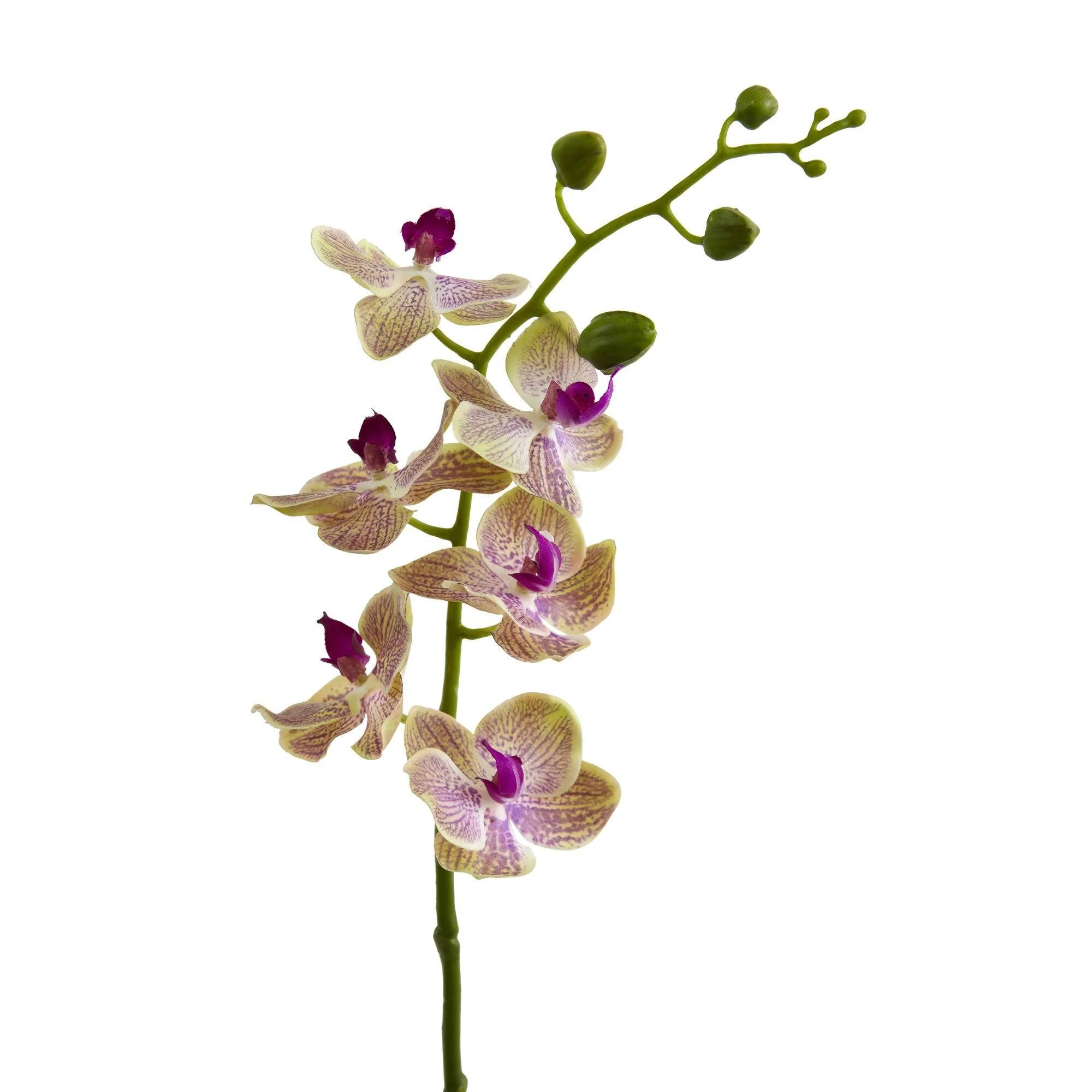 29” Phalaenopsis Orchid Artificial Flower (Set of 4) - Image 2
