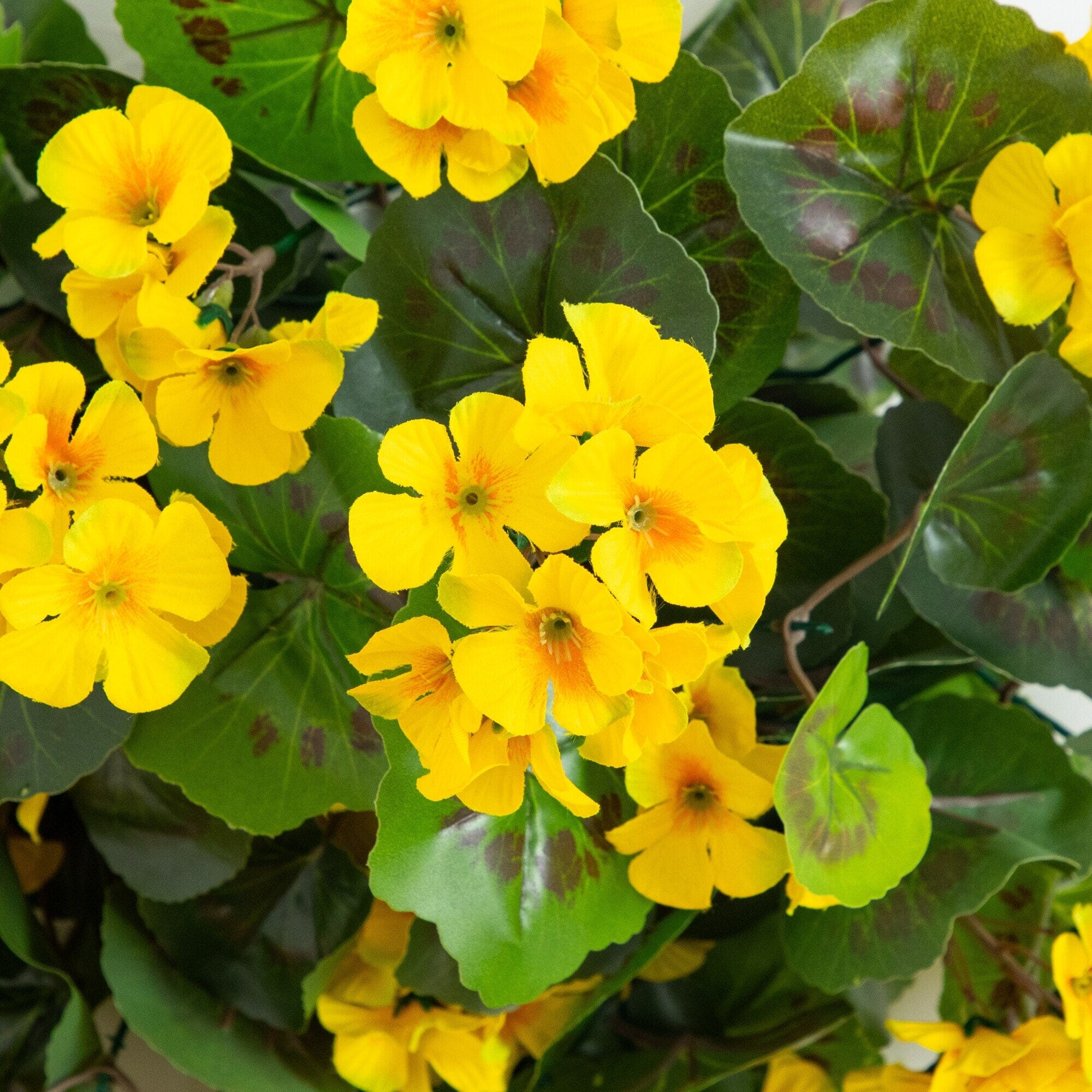 29" UV Resistant Artificial Geranium Hanging Plant - Yellow (Indoor/Outdoor) - Set of 2 - Image 2