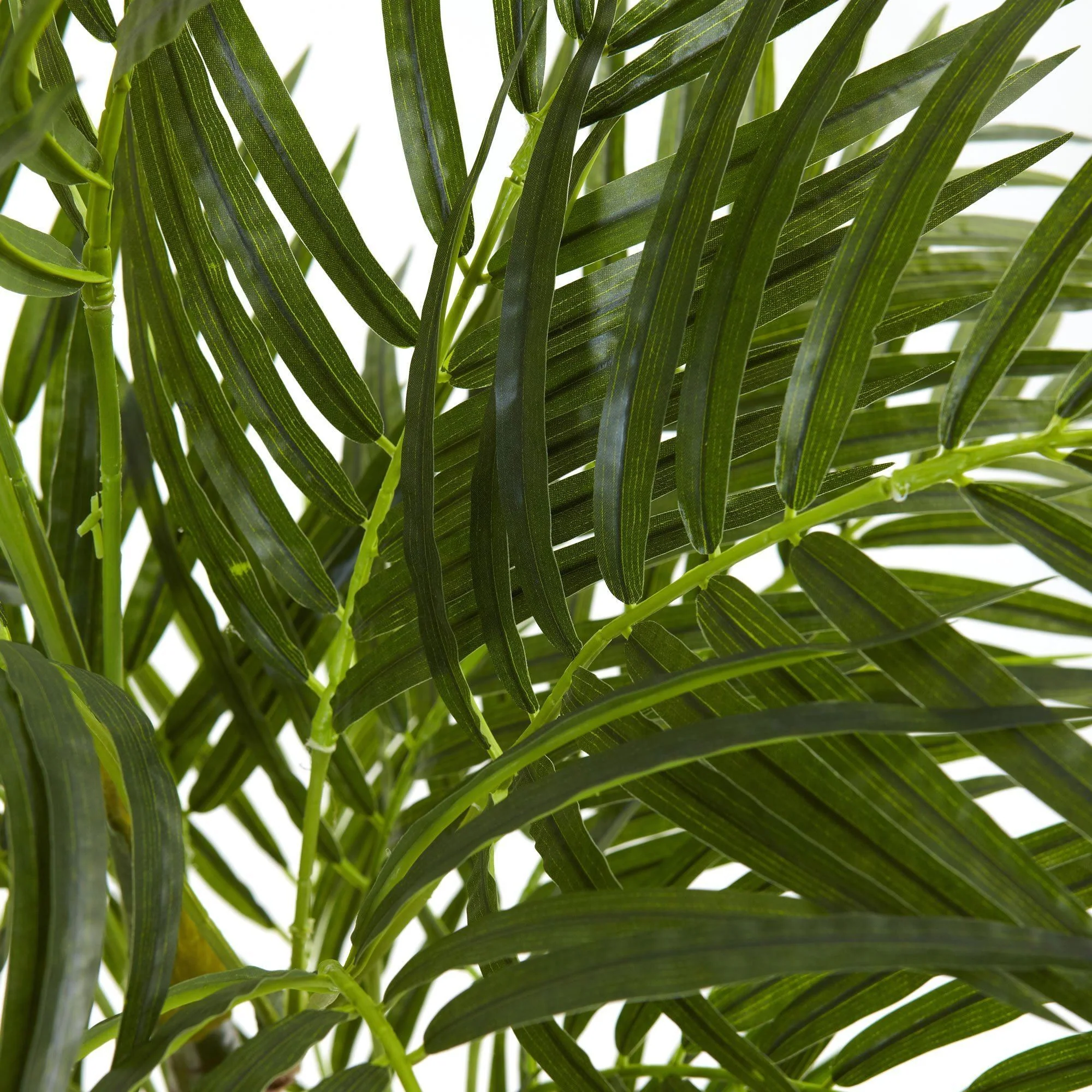 3.5' Areca Palm Tree UV Resistant (Indoor/Outdoor) - Image 2