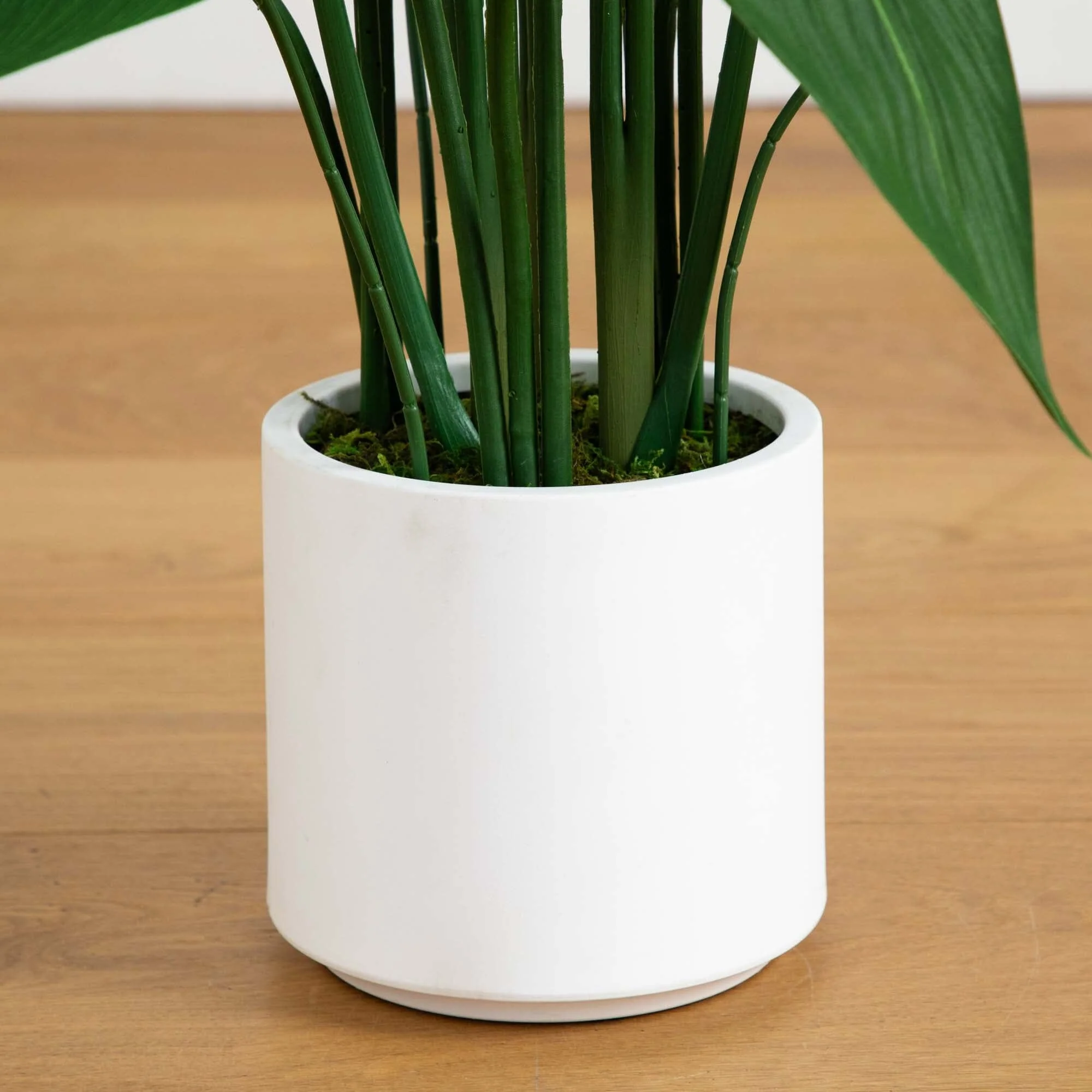 3.5'  Artificial Sky Bird Tree in White Decorative Planter - Image 6