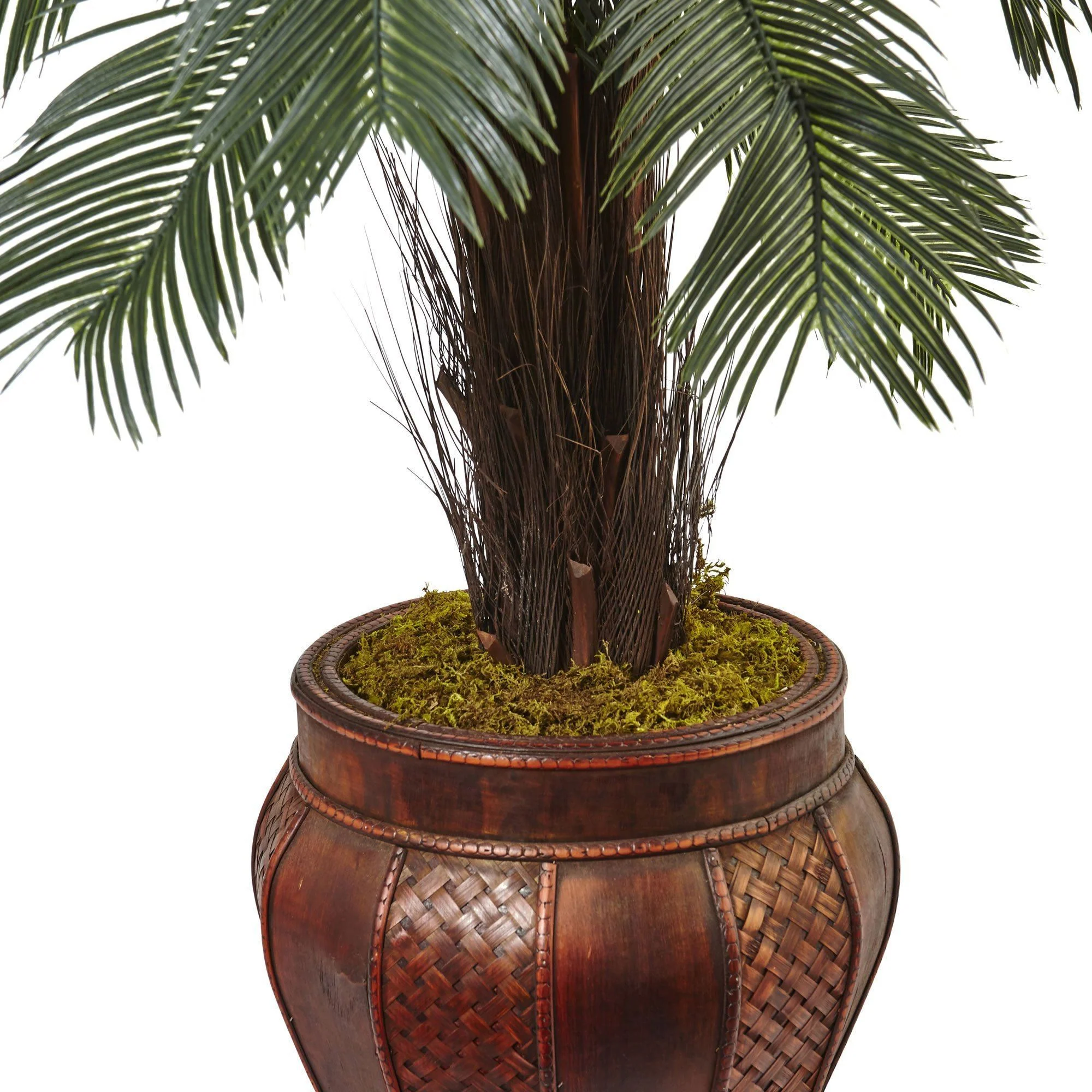 3.5’ Cycas Tree in Wood Planter - Image 2