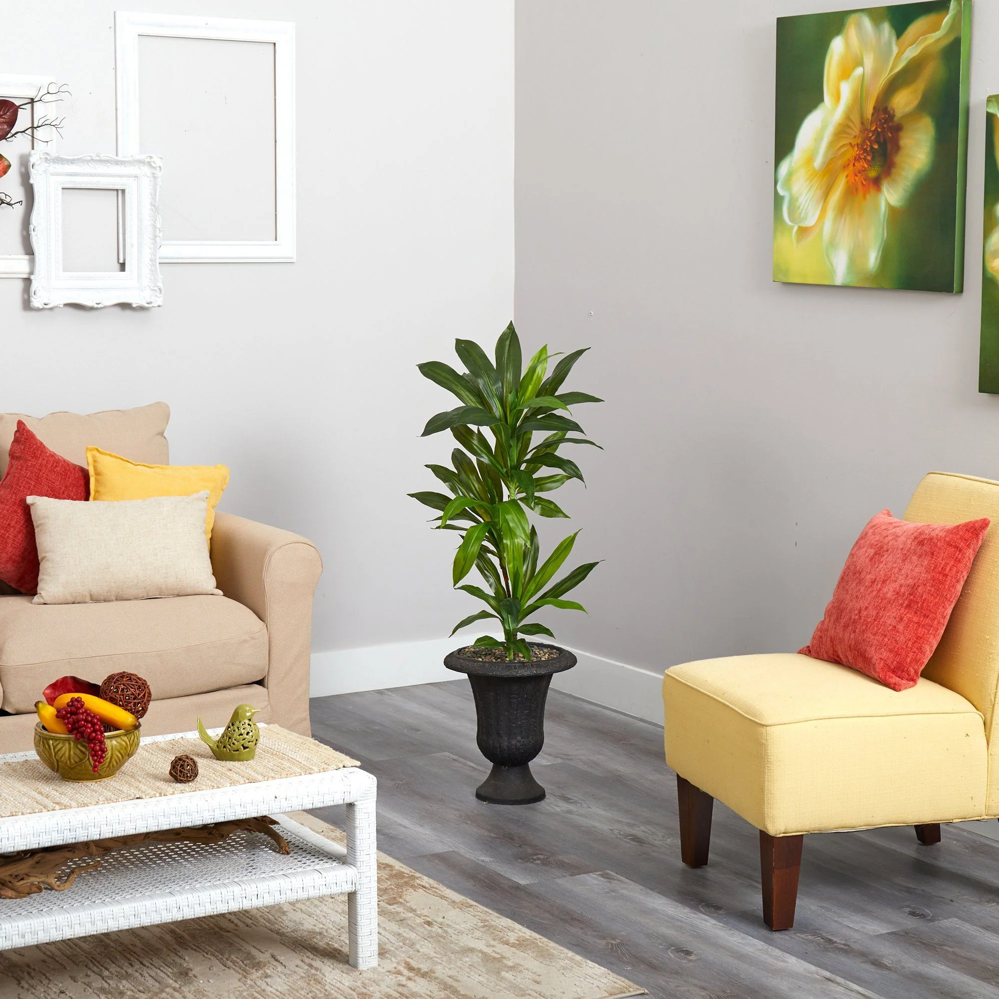 3.5’ Dracaena Artificial Plant in Charcoal Urn (Real Touch) - Image 2