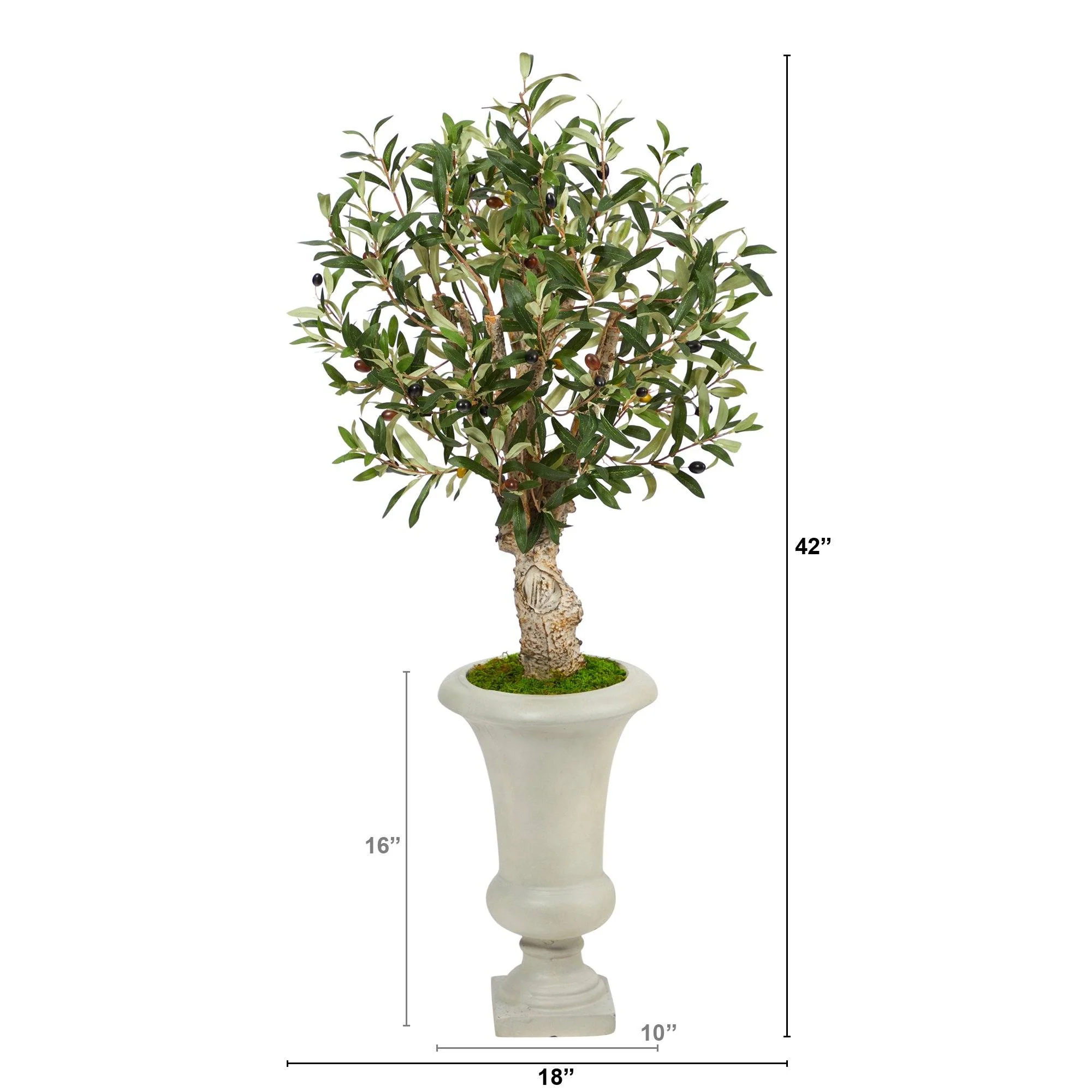 3.5’ Olive Artificial Tree in Sand Colored Urn - Image 2