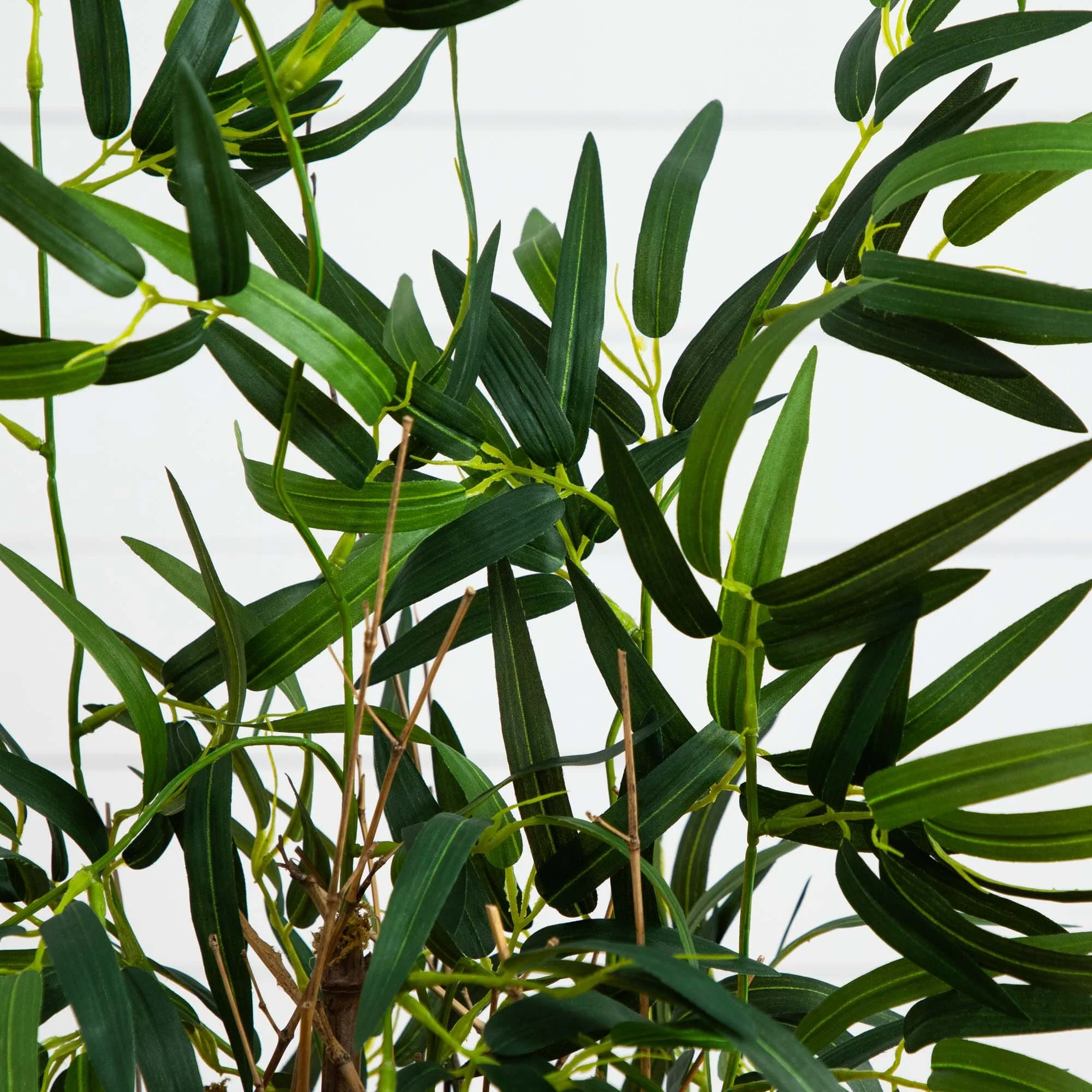 3.5' Twiggy Bamboo Tree - Image 2