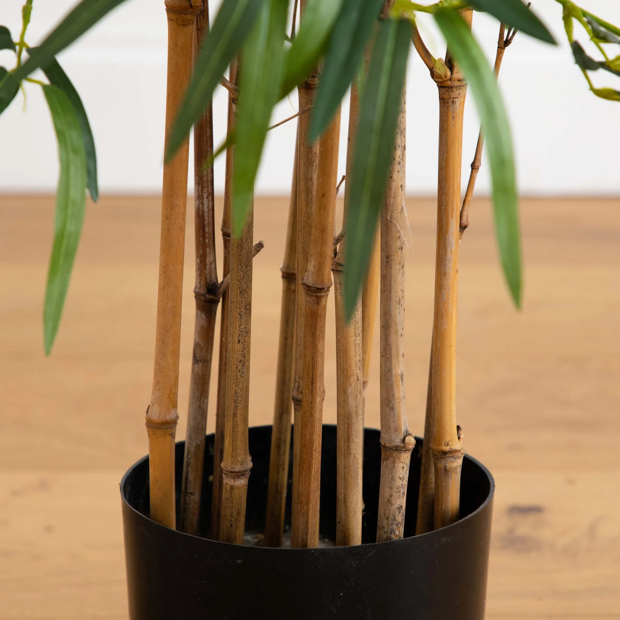3.5' Twiggy Bamboo Tree - Image 4