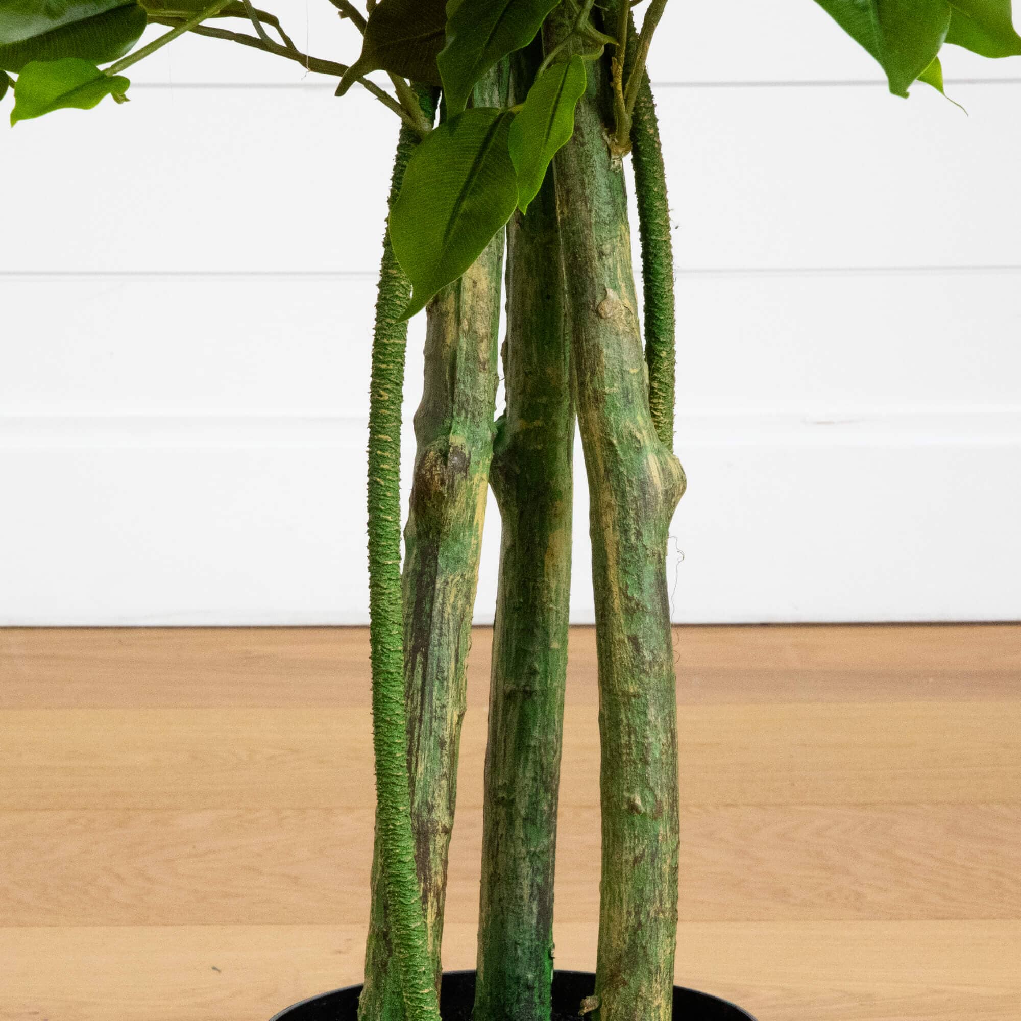 3.5' UV Resistant Artificial Ficus Tree (Indoor/Outdoor) - Image 4