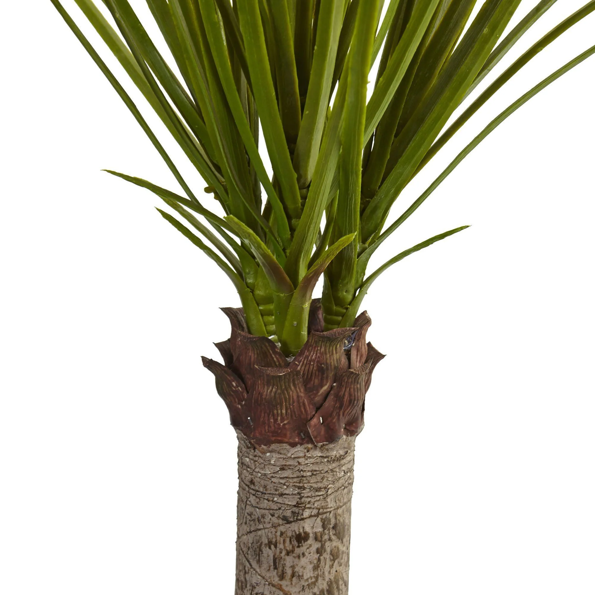 3.5’ Yucca Tree in Sand Colored Bowl - Image 3